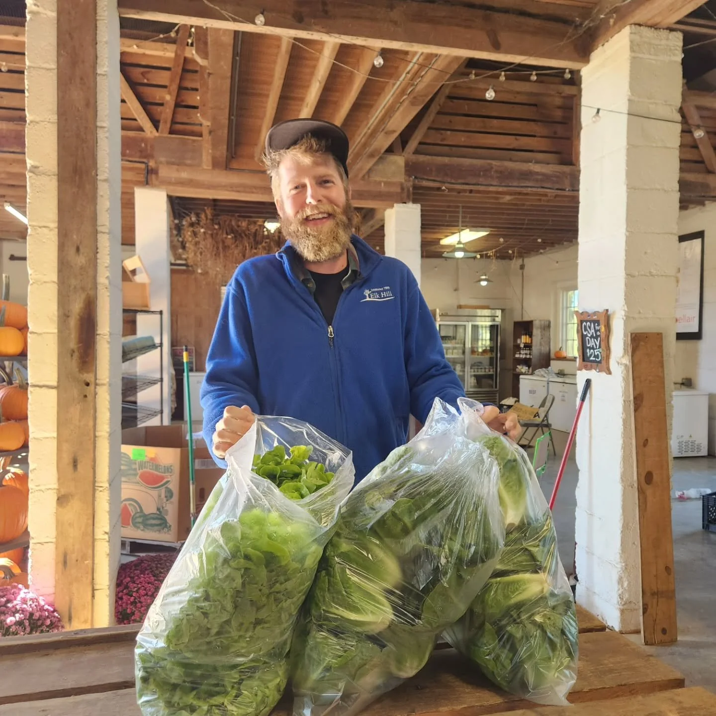 Its not Novemeber yet, and the world is falling apart a little bit, but we are feeling GRATEFUL. We have have a bounty of farm food. We can't solve the problems of the world but we CAN help the people in our own communities. Here's SOME of what we ar