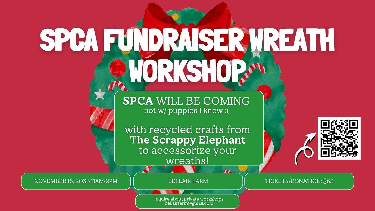 @CASPCA Fundraiser Wreath Workshop Nov. 15th! Accessories your wreath with @scrappyelephant crafts. Your ticket is your donation. Link in bio to register.