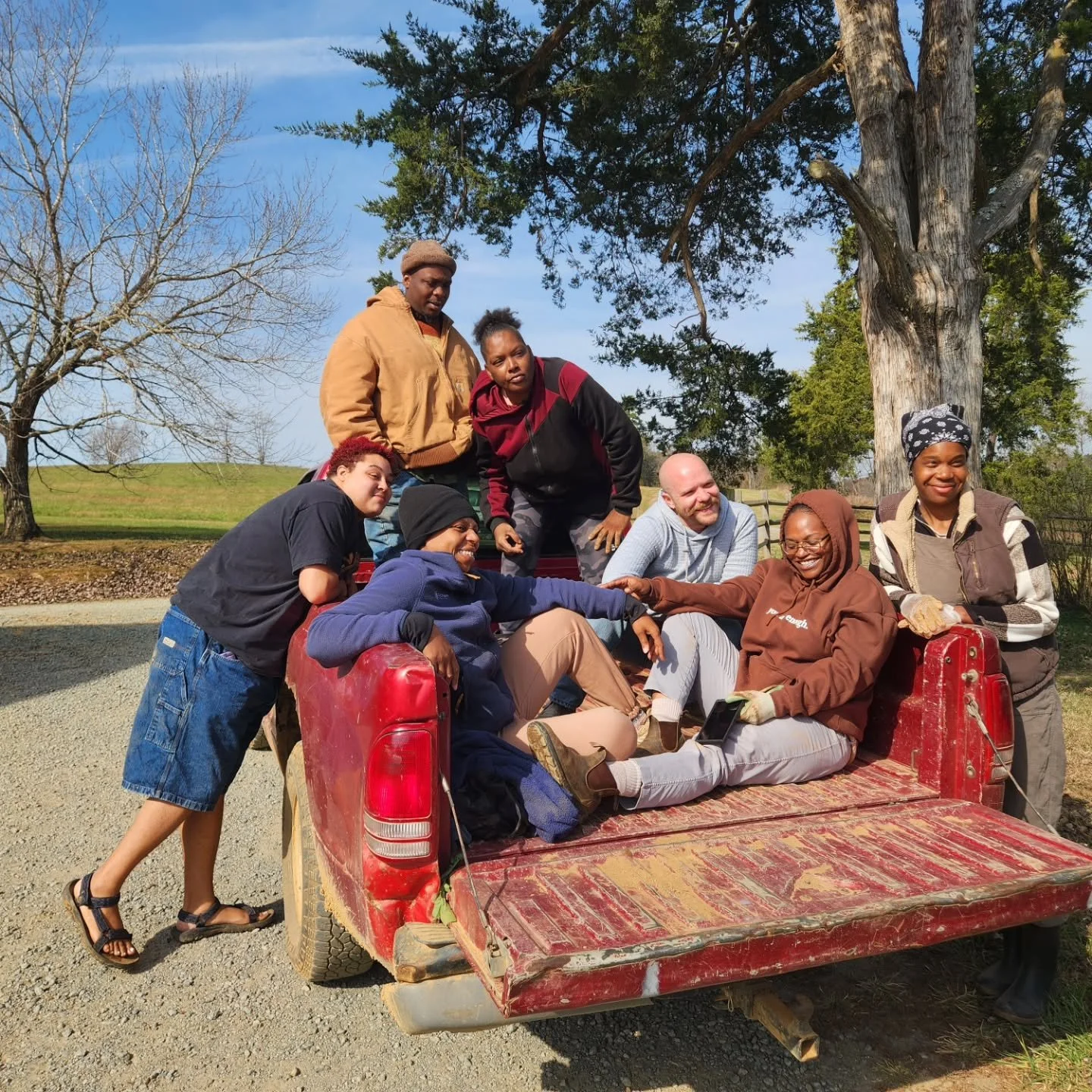 We had a little help from friends at @cultivatecharlottesville in bulking in some root crops for storage! We harvested SO MUCH yesterday! Help us eat it all! Open all locations as usual this weekend! 

We donated several bins of veg to Cultivate and 