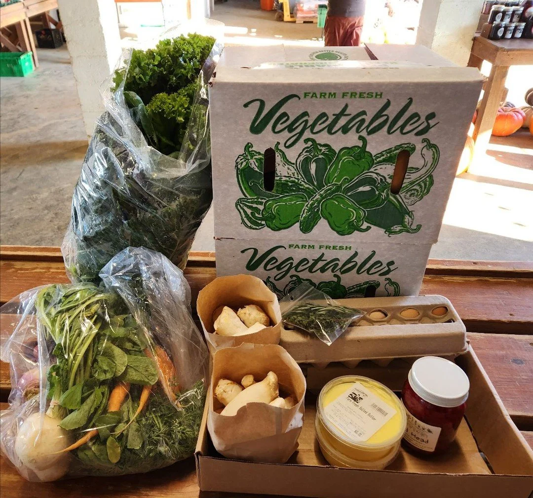 This is the last weekend to shop before Thanksgiving! The Barn Store is stocked with Bellair produce and other local groceries, including staple items (milk, cheese, butter, eggs) and seasonal items (candles, elderberry products, and more.)