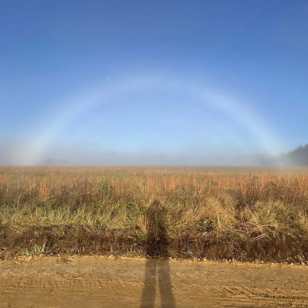 Dale-farm landscape phenomena.jpg