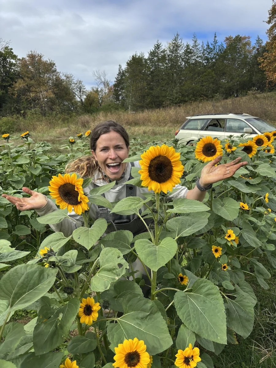 sunflower molly.jpg