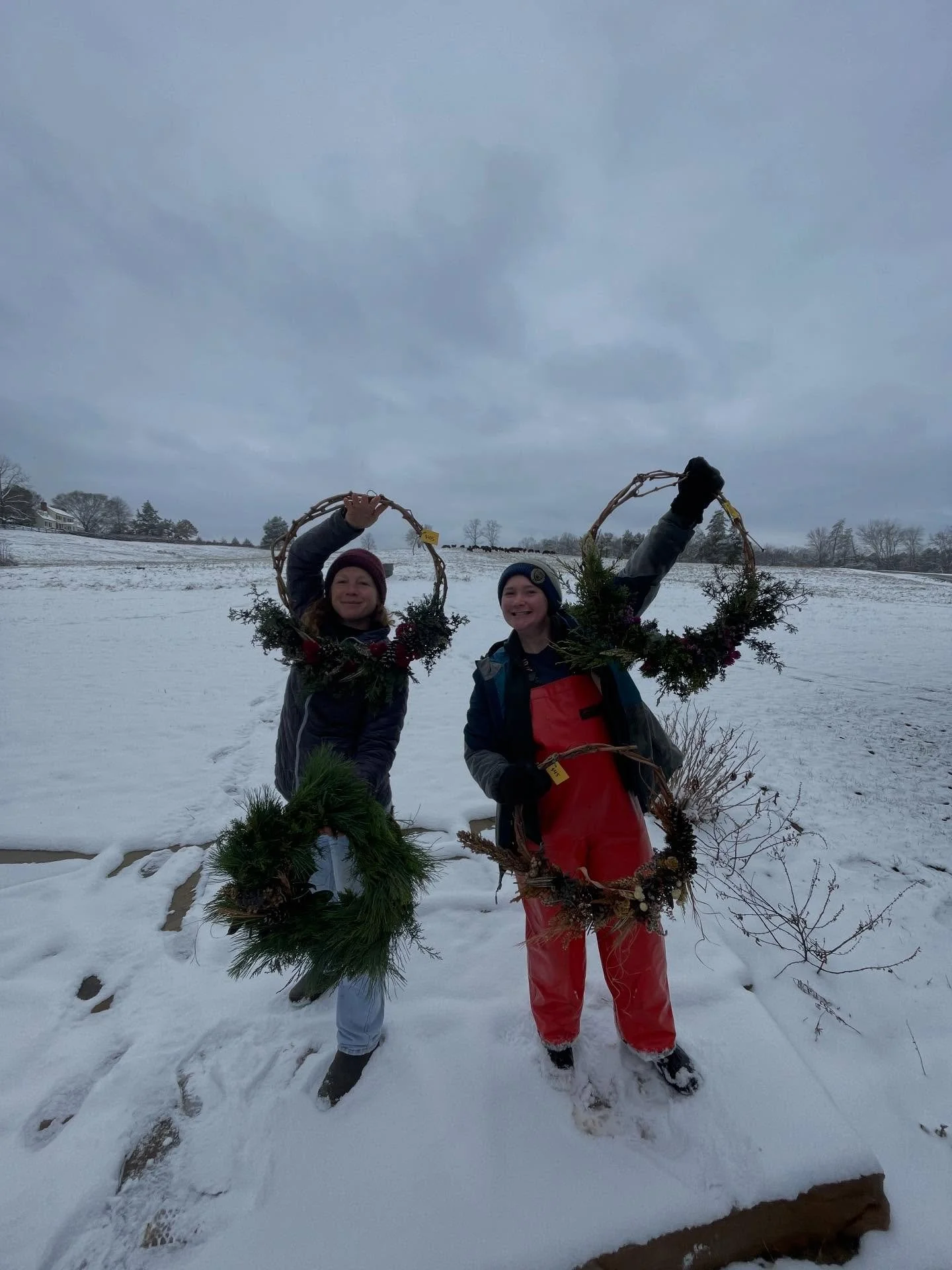 We have so many pretty wreaths and the snow is pretty and the pretty cows are at the barn!! Come stop by the Wintet spectacular at the barn Saturday 10-2. Wreath making, glass blowing with @milkglassblowing , pizza by @pennys_imperfect_pizza and hot 