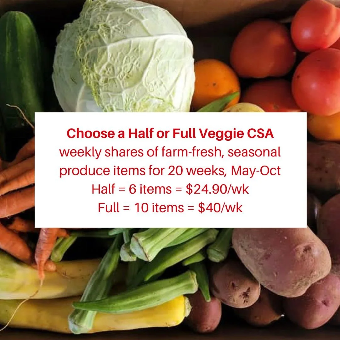Do you have questions about how our CSA works! Here's some answers to some FAQs. Let us know if you have any other questions, we are always happy to answer!