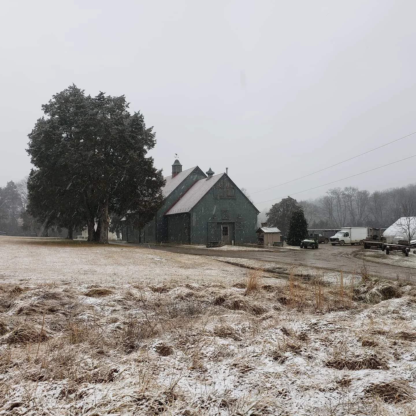 Snow Storm Prep Market Hours--We'll be OPEN:
❆Friday, Barn Store 10am-4pm
❆Saturday, Barn Store 9am-12pm
❆Saturday, IX Art Park 9am-12pm (plaze area, not our usual spot)