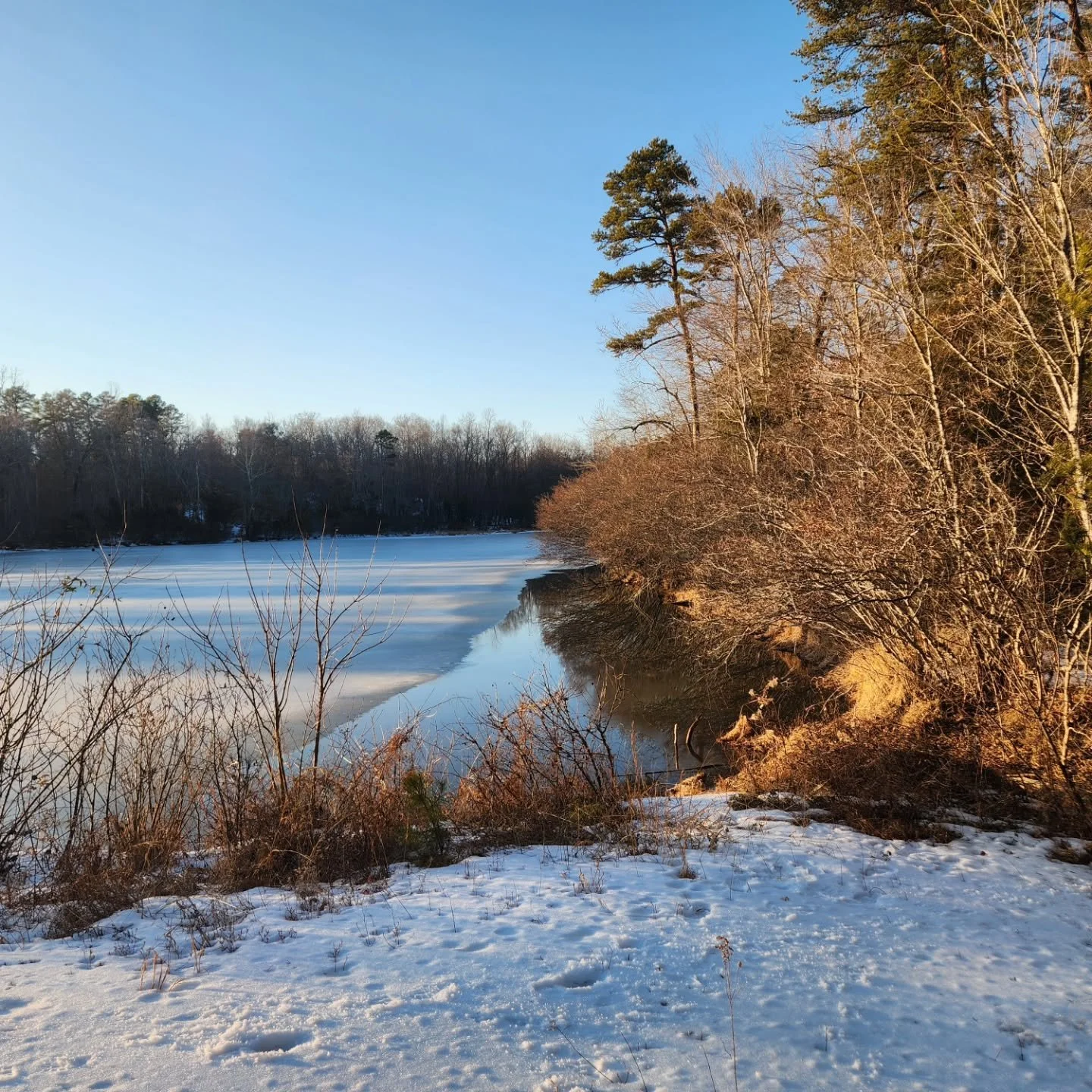 My (Michelle) evening farm walks have been reinstated since the thaw. Here are some gorgeous farm views from the last couple of days

Timberlake Pond half-thawed out
Microgreens at sunset
Cattle grazing in front field at sunset