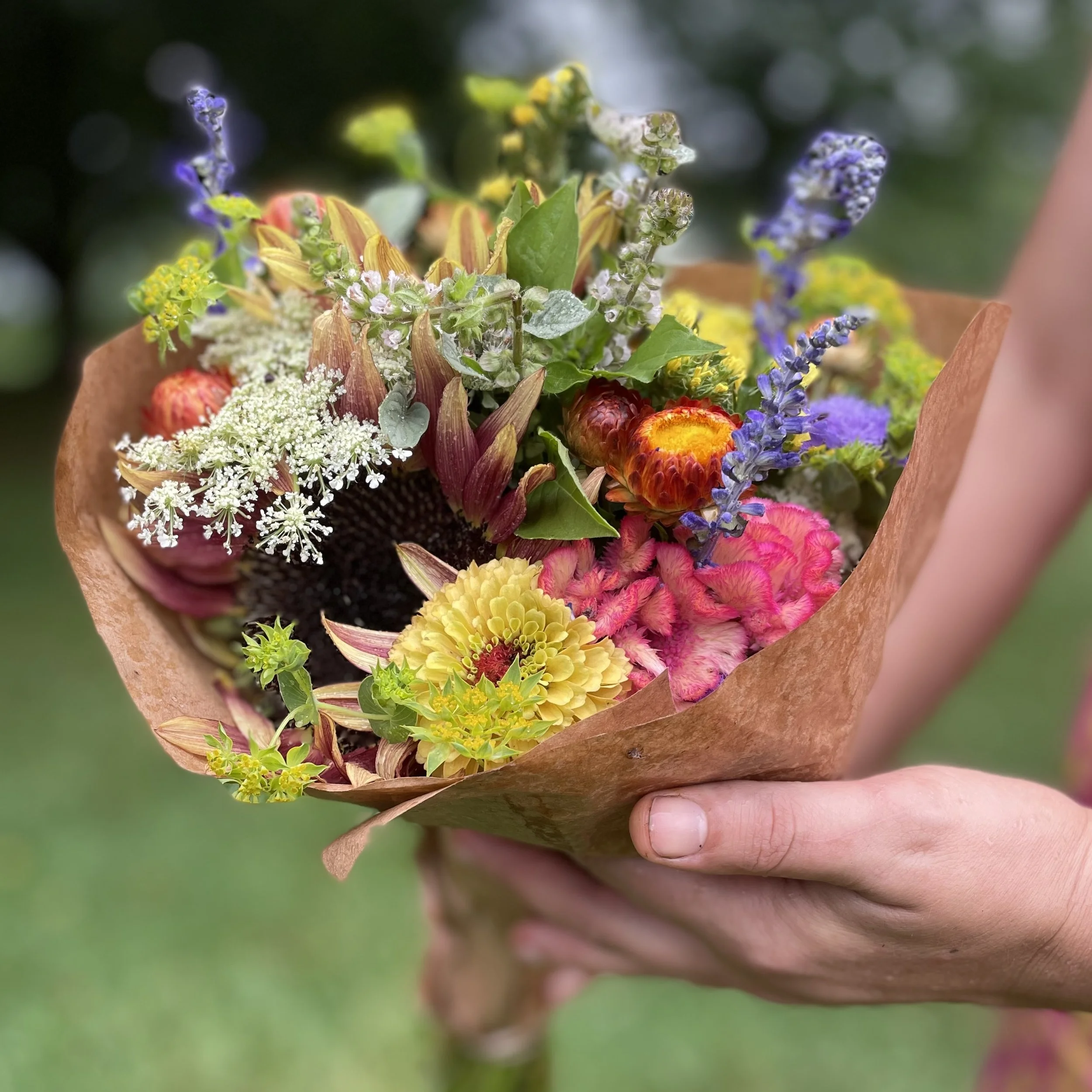 flower share bellair.jpeg