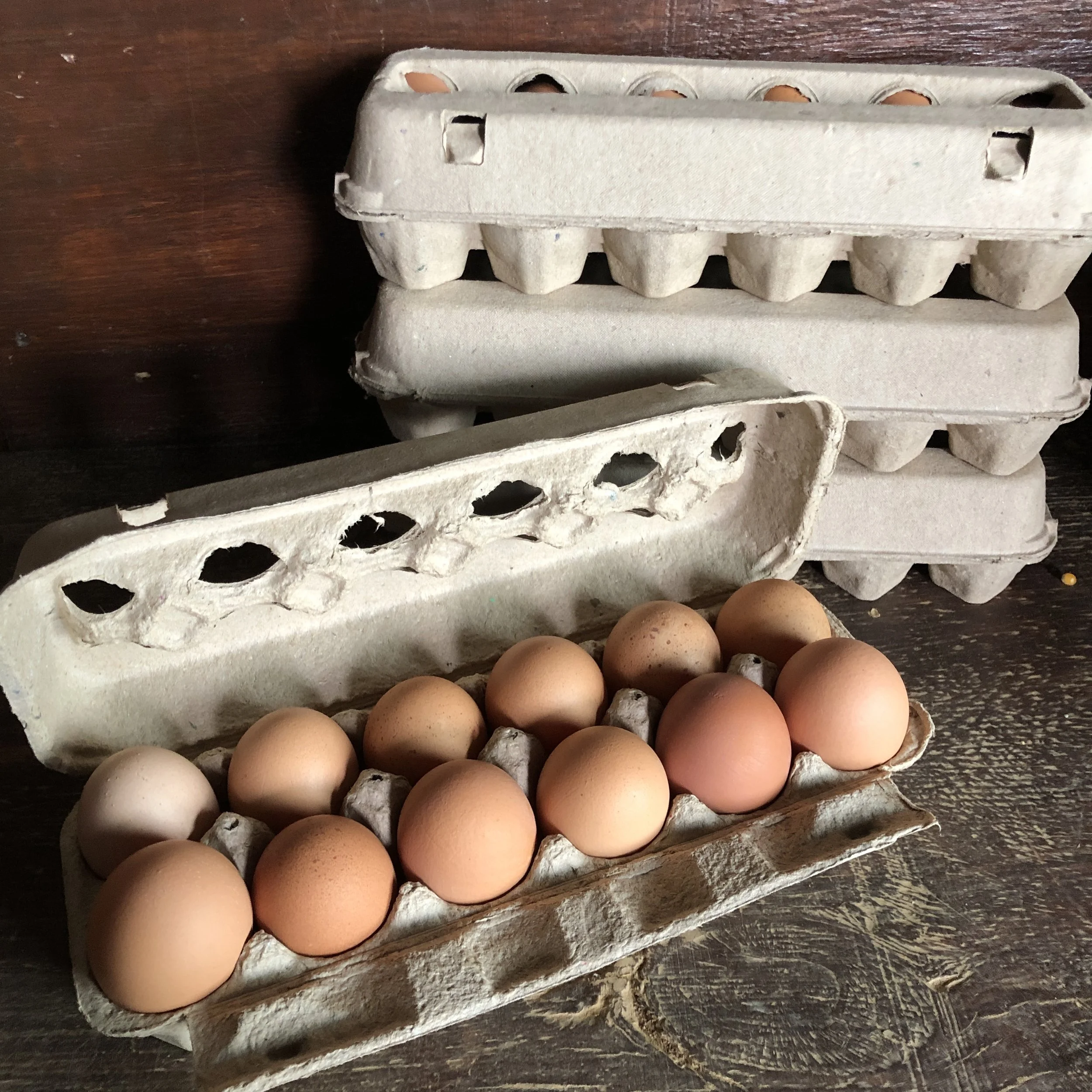 Bellair-Farm-Eggs.JPG