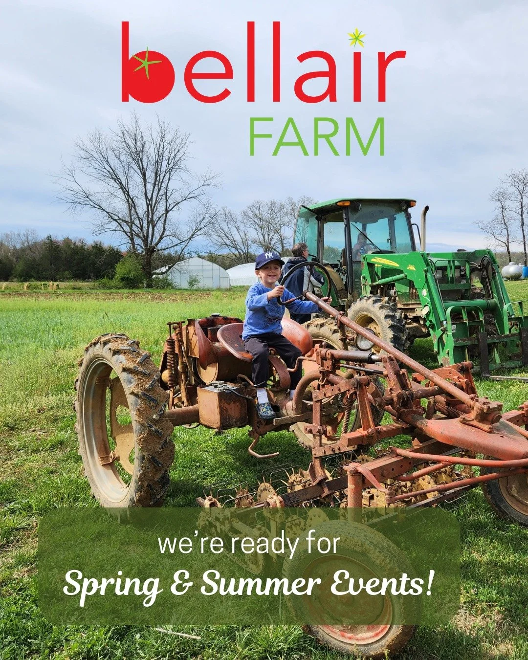 Hellebores are blooming, the onions are sprouting in the greenhouse, projects are underway, and we are ready for the people to get down to the farm this spring!