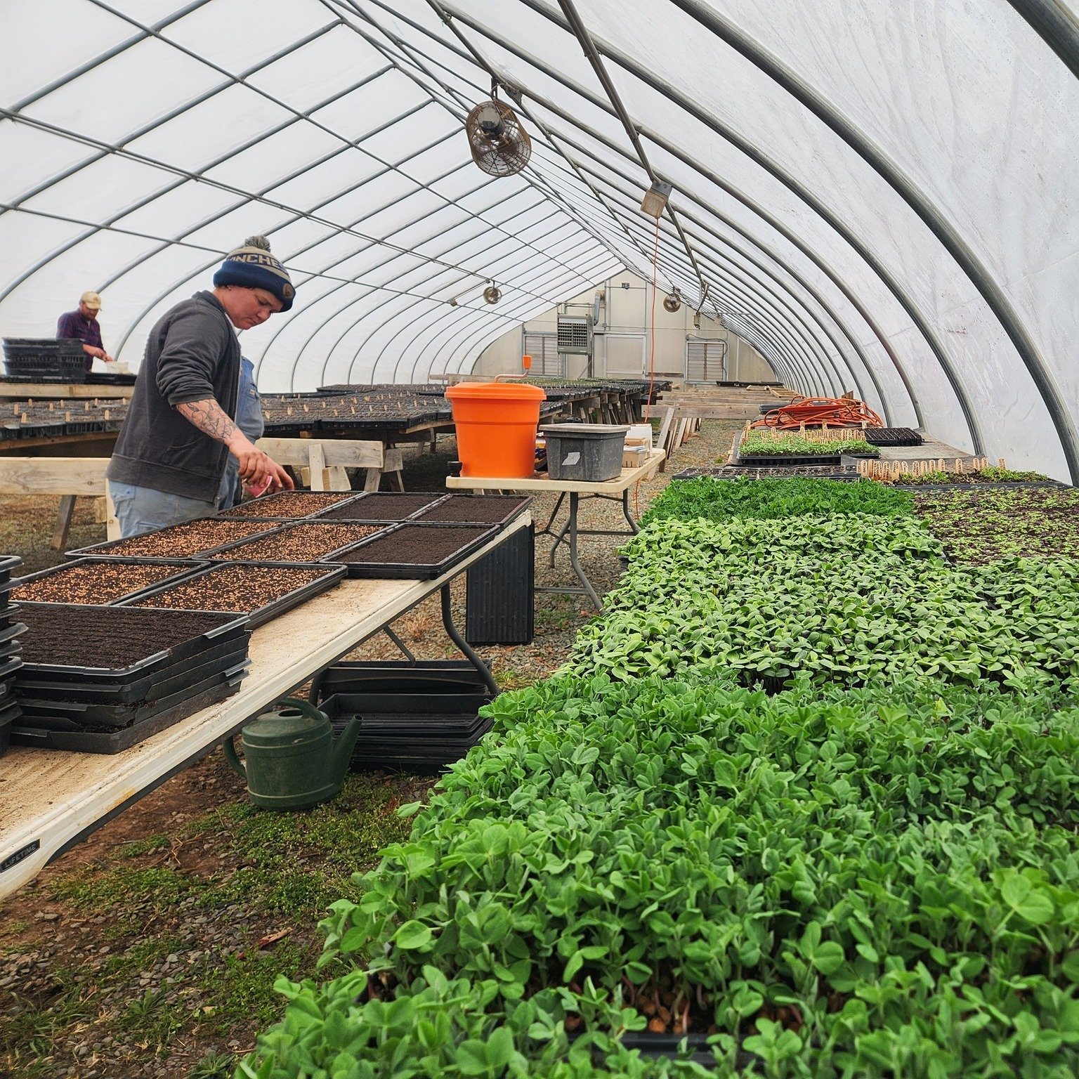 Are you starting to think about your 2026 gardening plans? There's a few ways we might be able to help:

🌱 We've got potting soils &amp; compost in the Barn Store! And a new blog post explaining the different types, plus how and when to use them. 
?