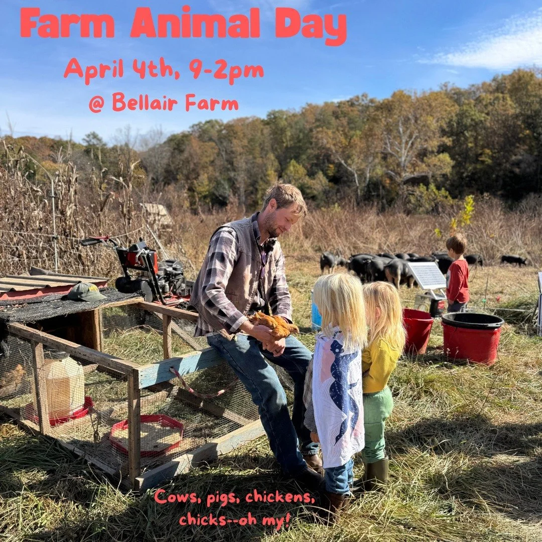 **UPDATE Farm Animal Day 9am-2pm

Cows, pigs, chickens, baby chicks, llamas, and more.

We will have BBQ U and @taiga_puravidacoffee serving up cold brew. Barn store will be open with spring plants, compost, soil, and our usual local goods. Walking t