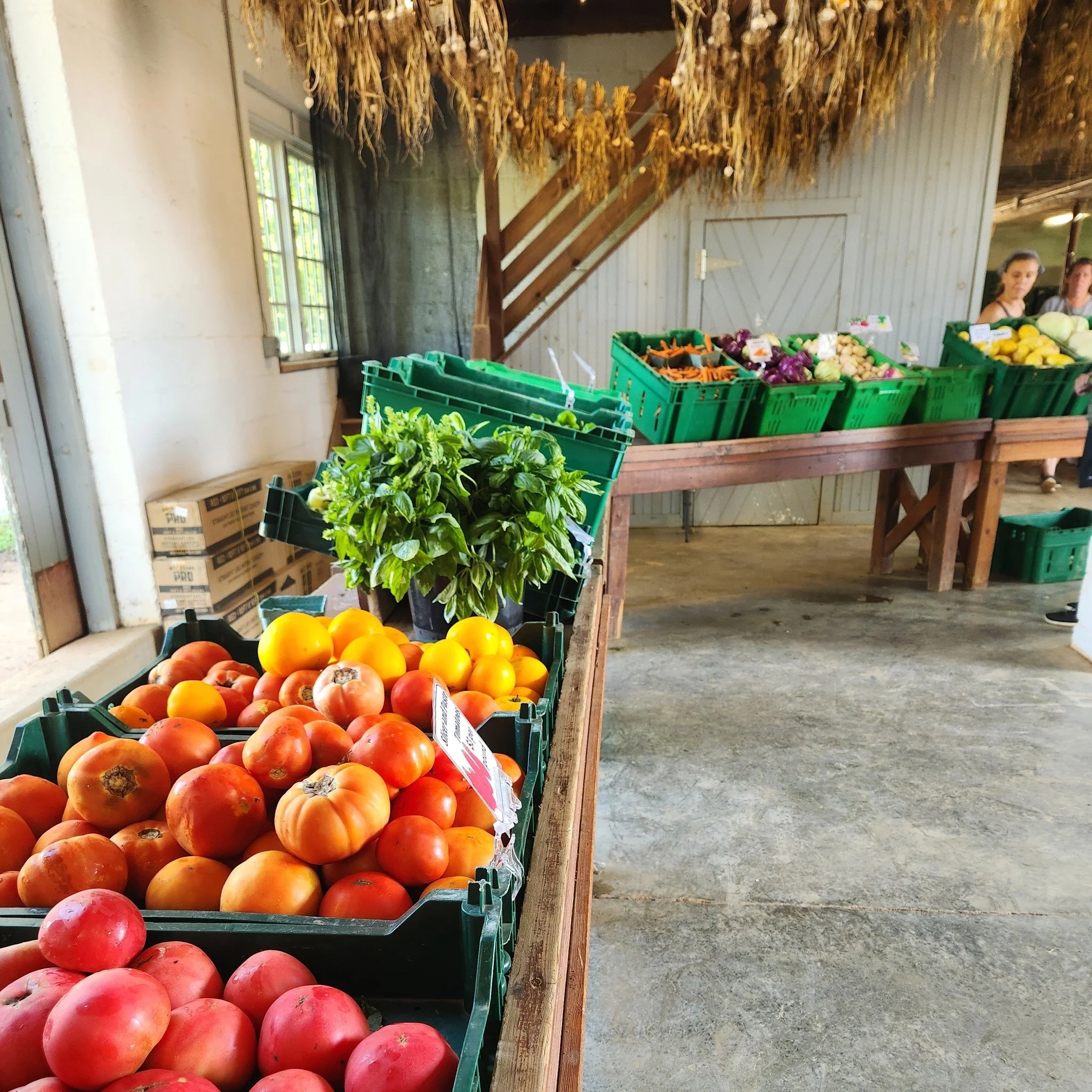 LAST CALL for CSA sign ups!

We're about a month away from the CSA start and we only have 15% capacity remaining. Secure your spot for farm-fresh veggies and local add-on items before we sell out!

You can find all the details about the 2026 CSA prog