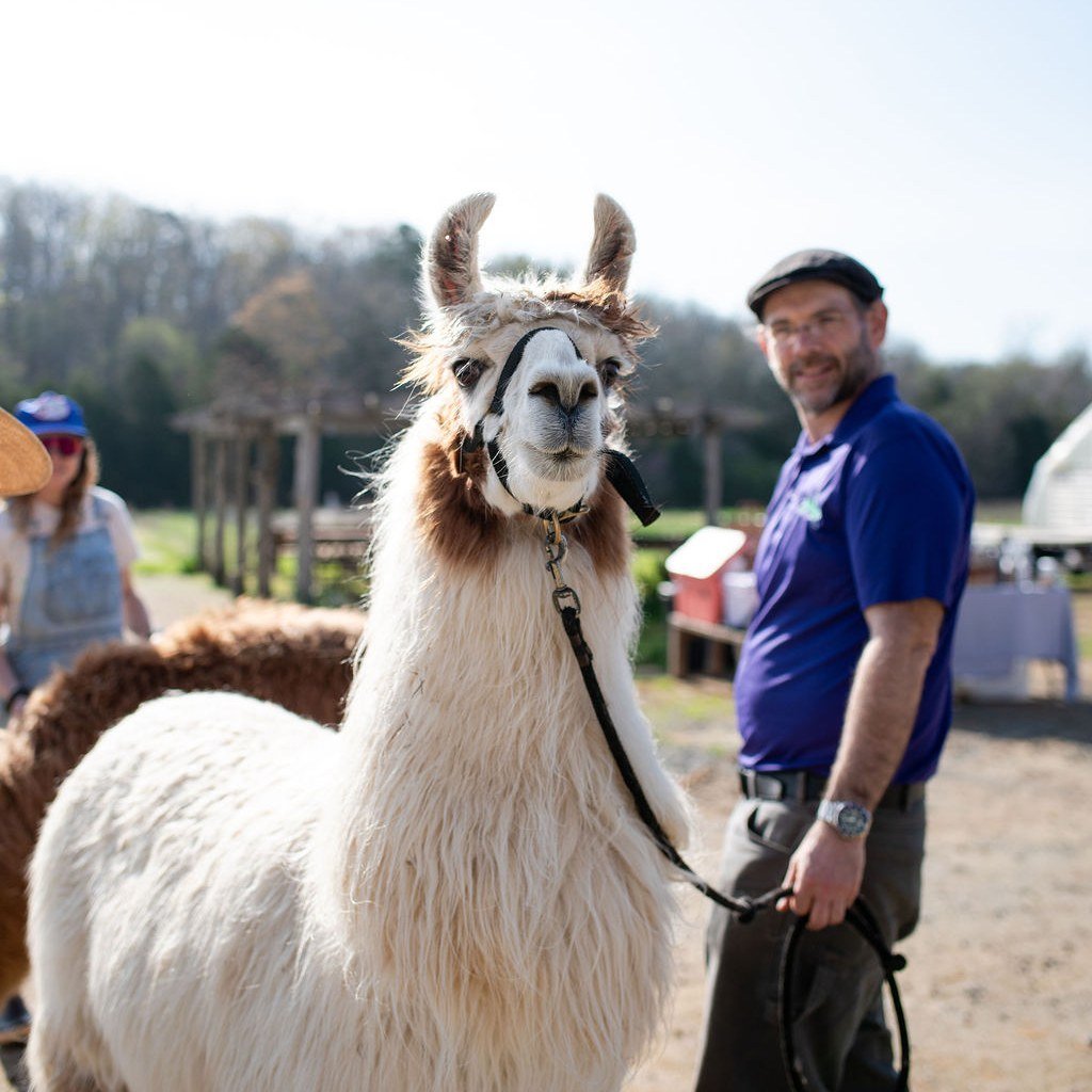 THANK YOU to all of our fellow farmers, vendors, volunteers, photographer, and community for a great Farm Animal Day! We are so grateful for everyone who showed up, local farms would not be possible without all of you. Find out more ways to support o