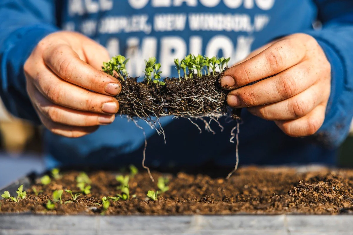 YOU'RE INVITED to our favorite community, earth loving event is happening THIS SATURDAY. Come swap, share, volunteer, learn, and grow this weekend at Bellair Farm!

-- 9AM-10:30AM Secretary's Road Clean-Up. Meet at entrance of Bellair driveway.
--11A