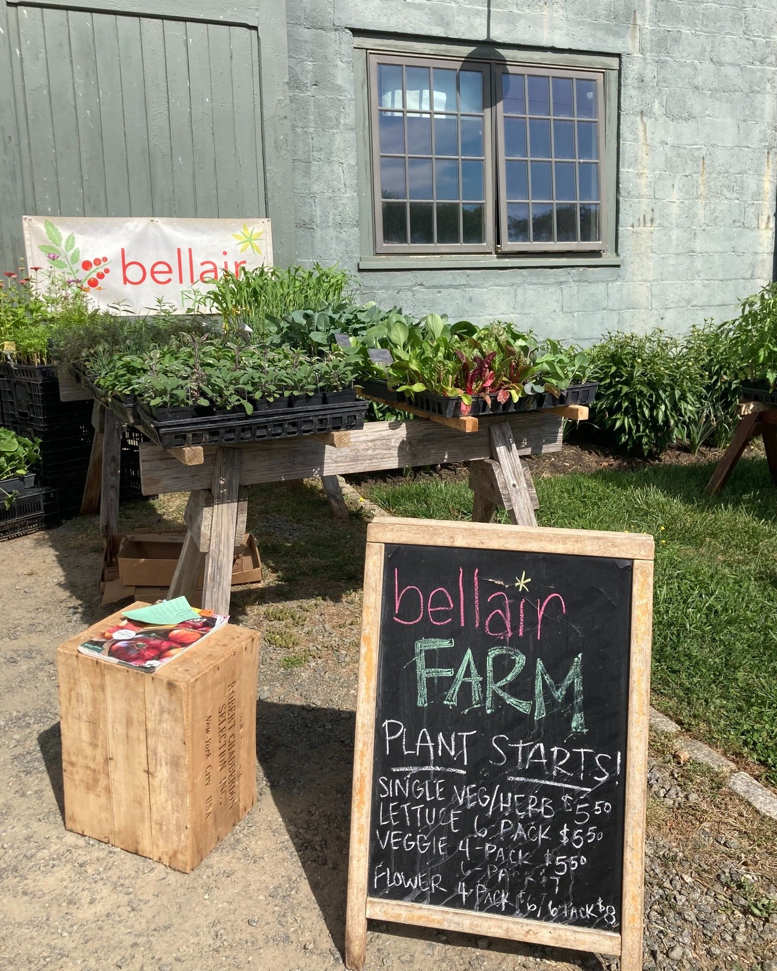 This is prime time for picking up some of our plant starts! Herbs, flowers, &amp; vegetables all ready to head to your home garden. Plus, medicinal herbs and more from Gathered Threads. Available all weekend! Friday and Saturday at the Barn Store, Sa