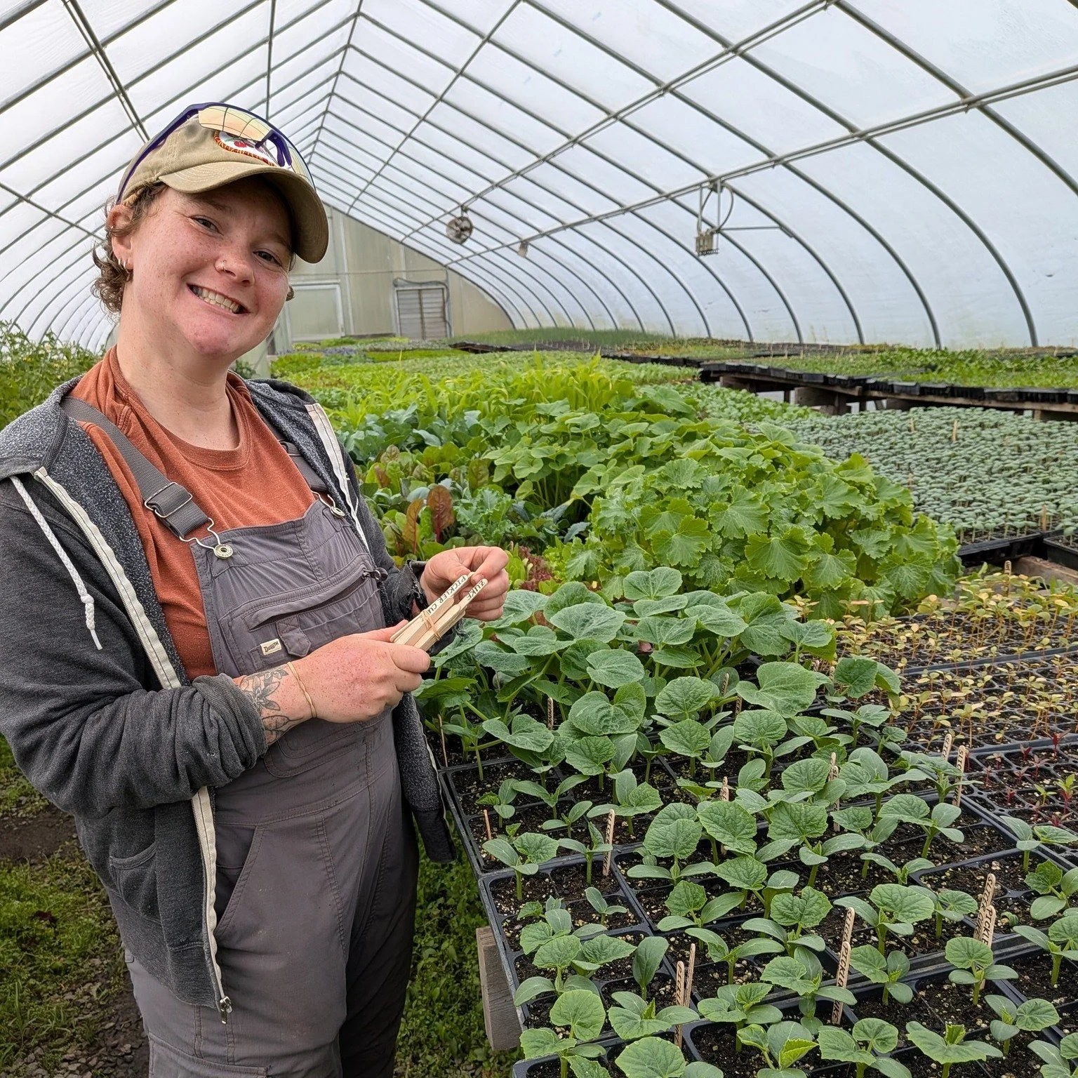 HERBS GALORE--Richmond's favorite plant sale is happening this weekend, 8-3pm. Come visit Hali, the one who has started all of these plants from seed, and Jackie!
We will also be continuing PLANT SALES @ the barn store 9-2pm Saturday and Sunday. See 