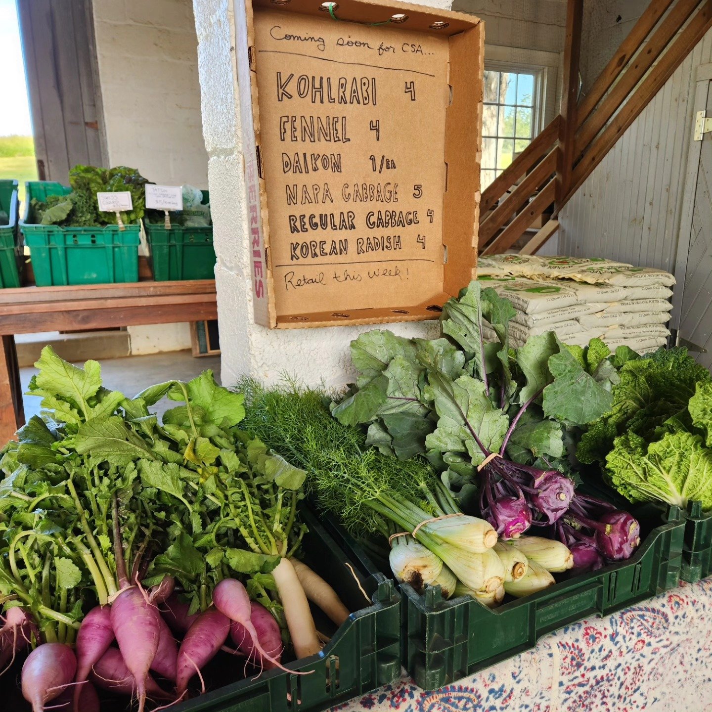 New to the CSA or to our farm community? This Saturday at our Spring Open House, you can learn more about what to expect, what exactly it is we do here, and spend some time touring the farm and meeting your farmers. Not new?! We'd love to see you too