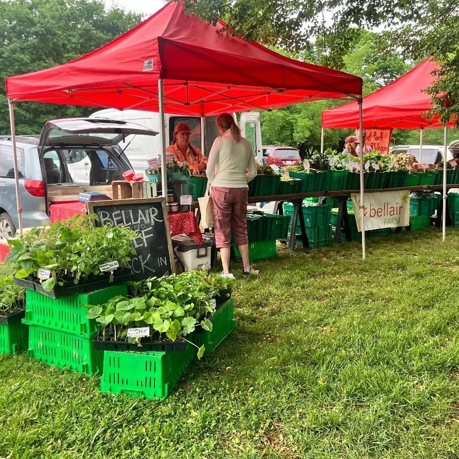 Meet us at Pen Park this afternoon! 
- 3 to 7pm at 1300 Pen Park Road -
It's not quite the first week of our CSA, but we're kicking off our weekday markets starting today with the market at Pen Park. Come shop the first vegetables coming out of the f