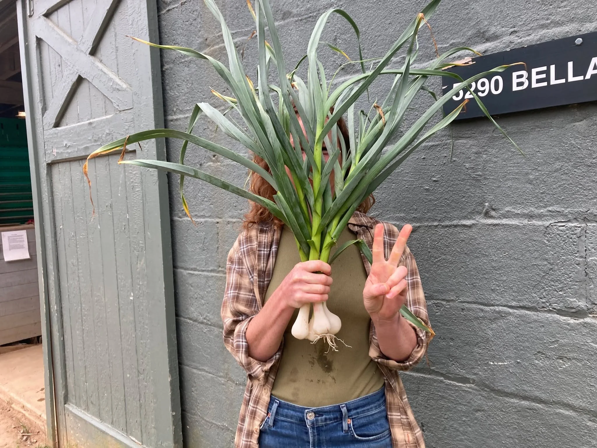 Bok choy! Kale! Chard! Spinach! Collards! Tatsoi! Mustards! Green Garlic!

Can you tell we're excited to share these first harvests from the fields with you? 

Come see us this weekend at IX, South of the James, and the Barn Store for the moment we'v