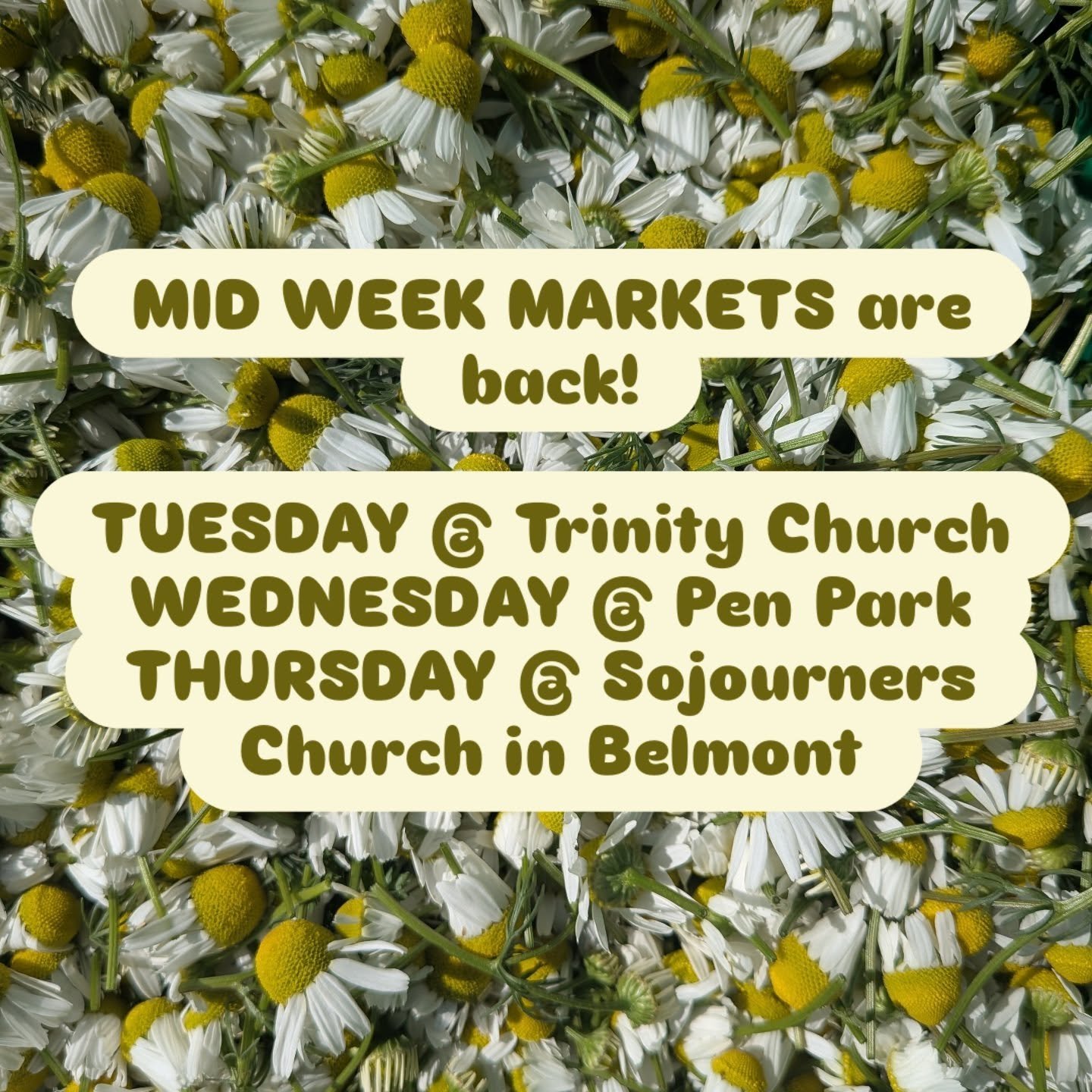 The time has come!!! MID WEEK MARKETS ARE BACK.

Chamomile, strawberries, and peonies in bloom mean the CSA is about to start and we are back at mid week markets. Non CSA members can come to these markets. Super convenient pit stop on your way home f