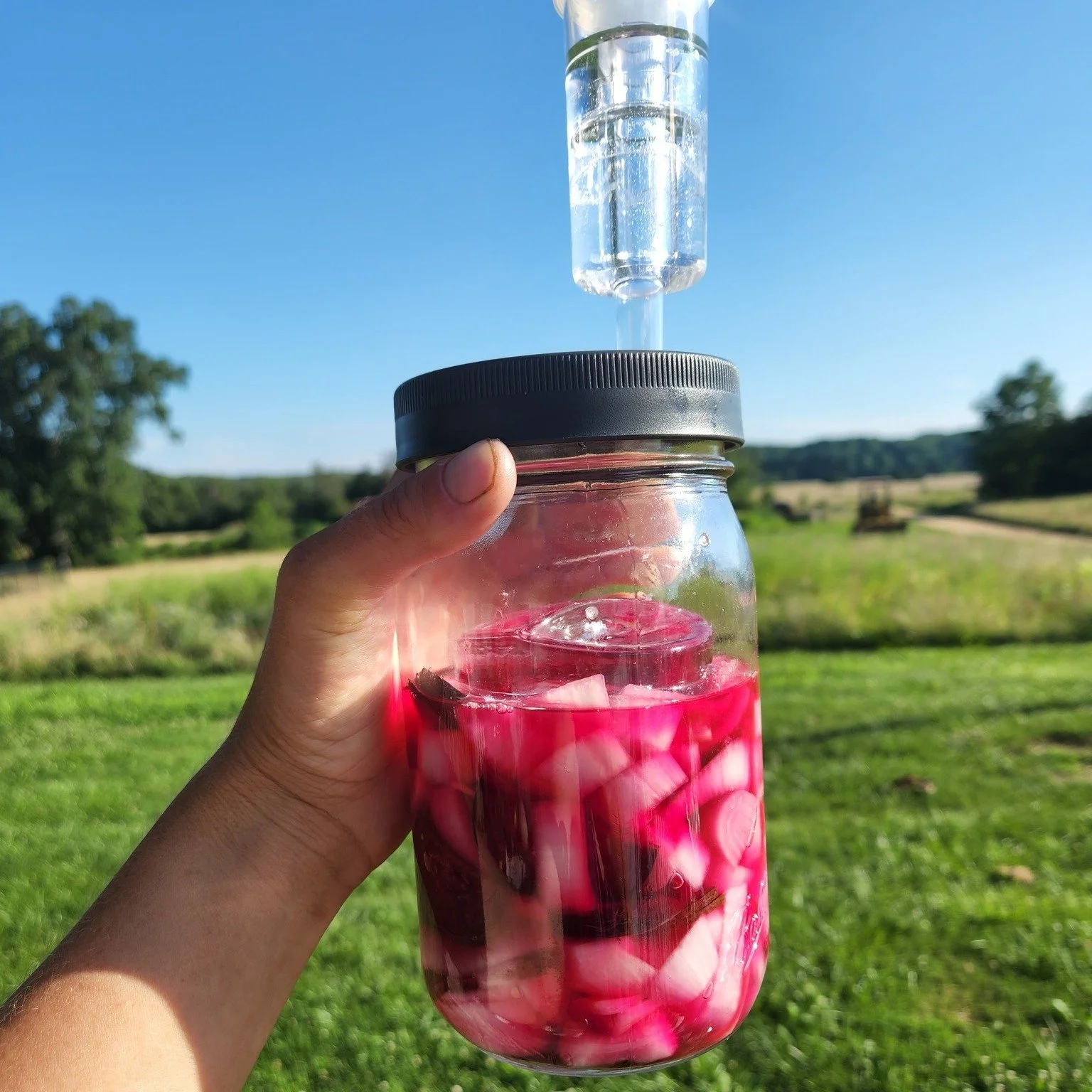 Help us kick off our Summer Second Saturday series! Come on out to the farm for good food, good tunes, and good company! June 13th from 9am-2pm. 

Music by @gina_sobel!

Fermentation Workshop by CSA Member and ferment expert, @gabbyrgammon! (Buy a ti