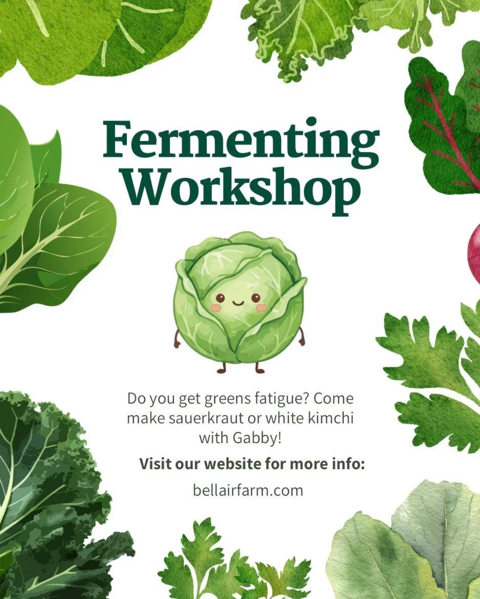 Join CSA member, @gabbyrgammon , for a hands-on fermentation workshop at Bellair Farm&rsquo;s first Second Saturday event of the year on June 13th! 

Drawing on two years of experience fermenting vegetables (including all the CSA veggies grown right 