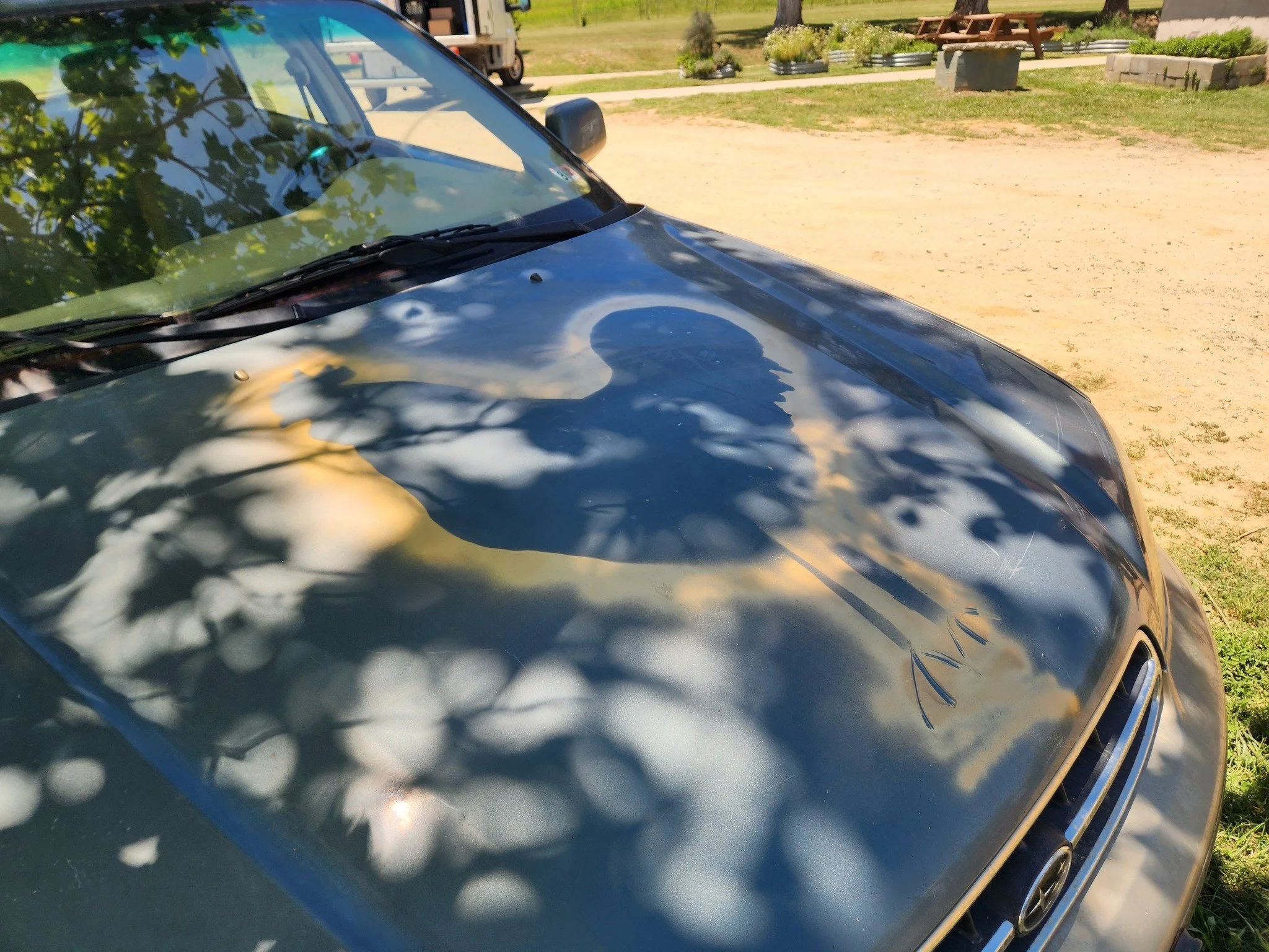 Subaru Sunday! We have not one, not two, but THREE of these LLBean Special Edition leather interior 6-cylinder Subaru Outbacks that we use on the farm. 

We have one designated for livestock tasks and the other two we try to keep at least a little cl