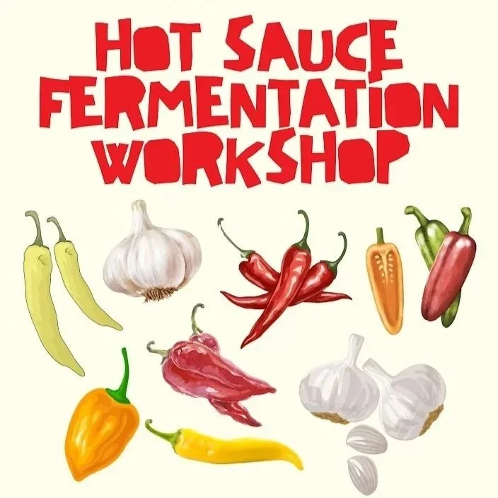Fermenting Workshop Part 2: Hot Sauce