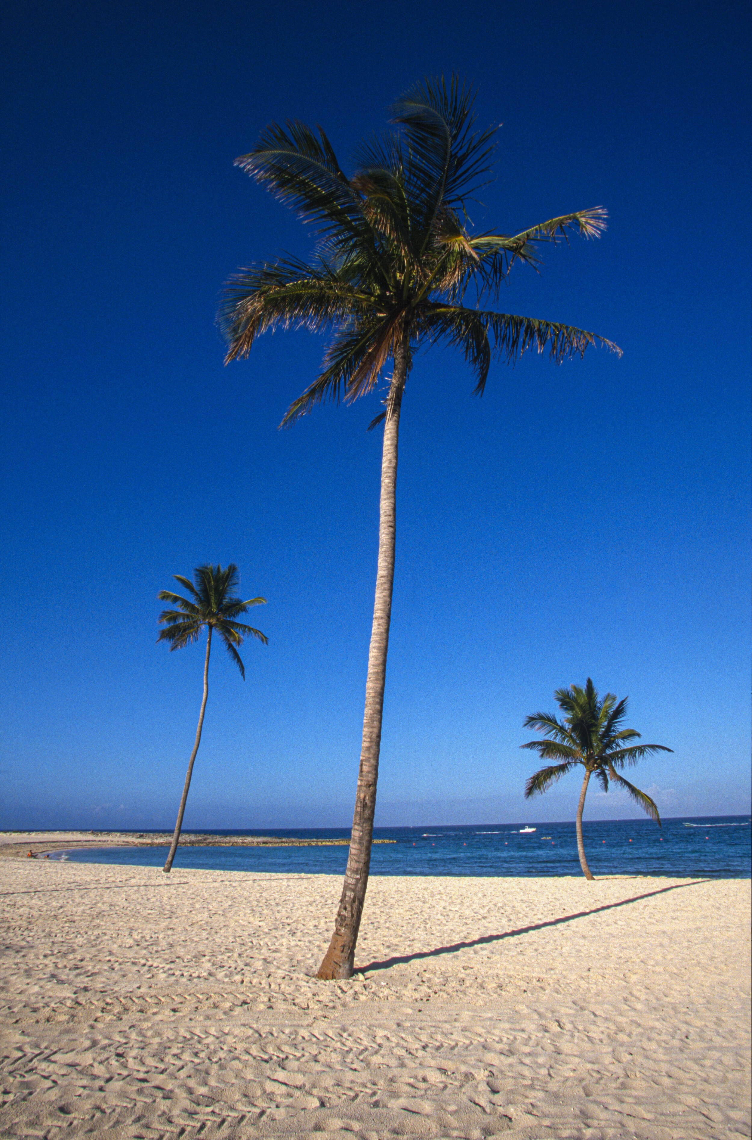 Testimonial for The Skin Centre and Luminnova Healths' Dr. Juliette Hepburn - Joanna Paul 