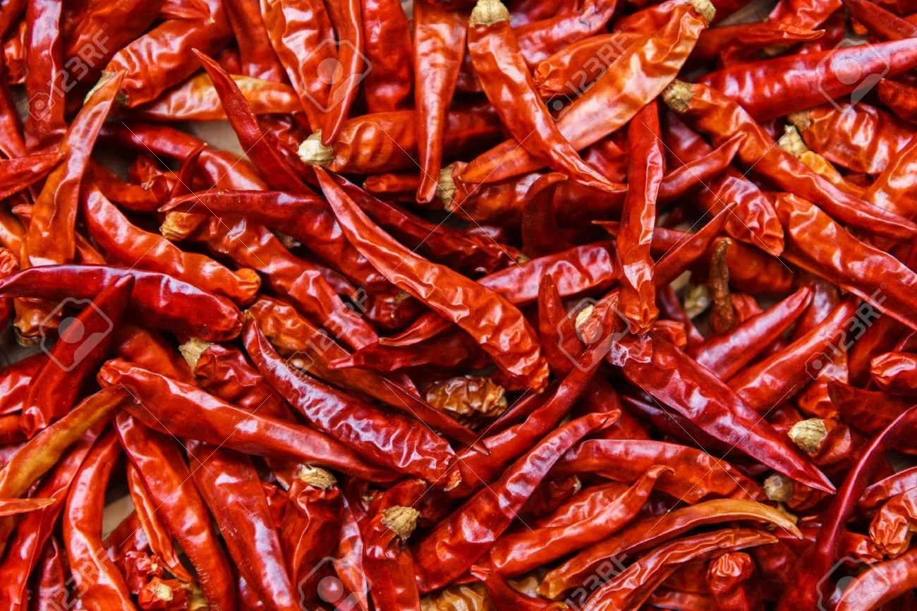 14549803-the-dried-chilli.jpg