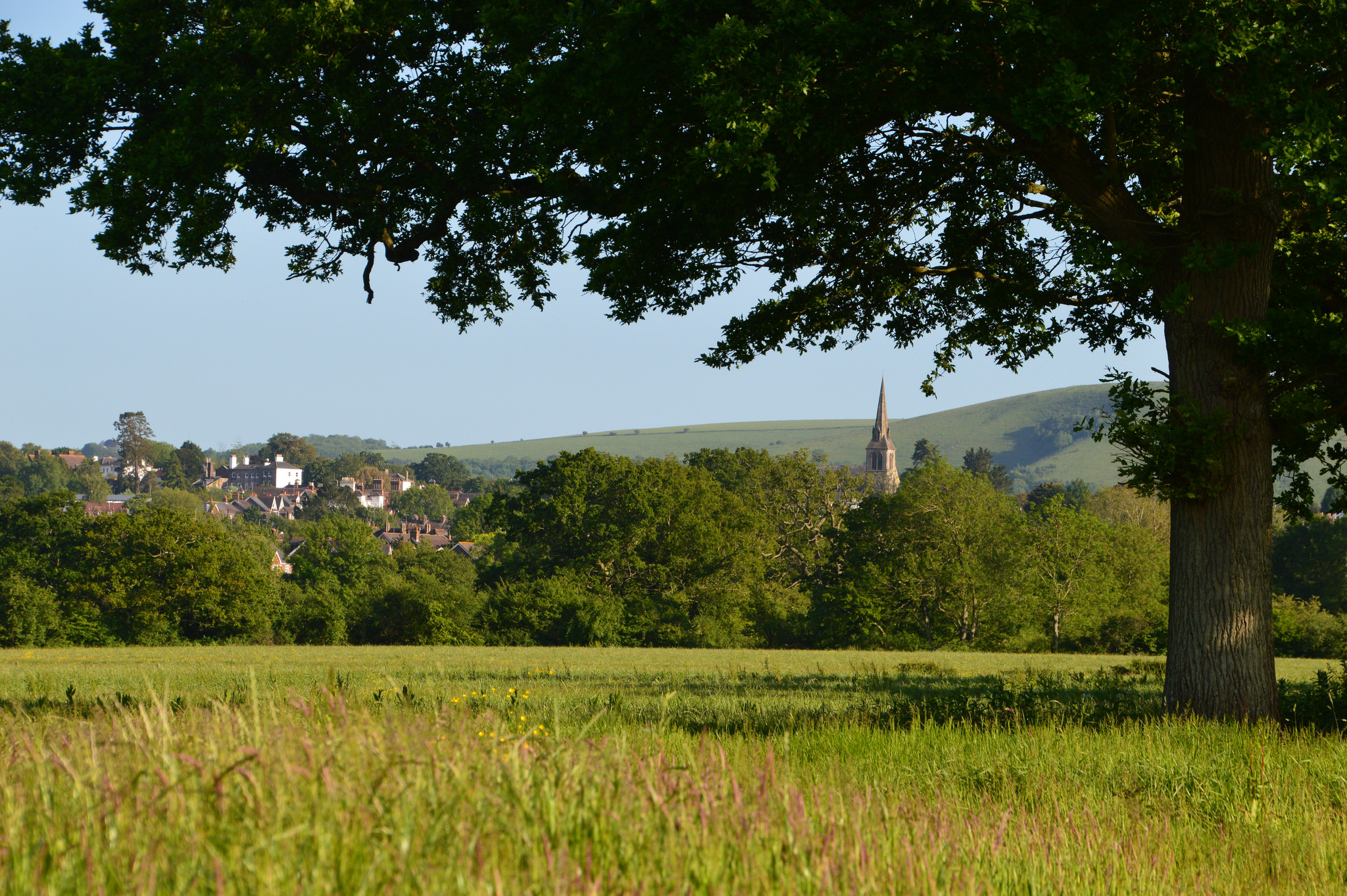 Church from across field.jpg