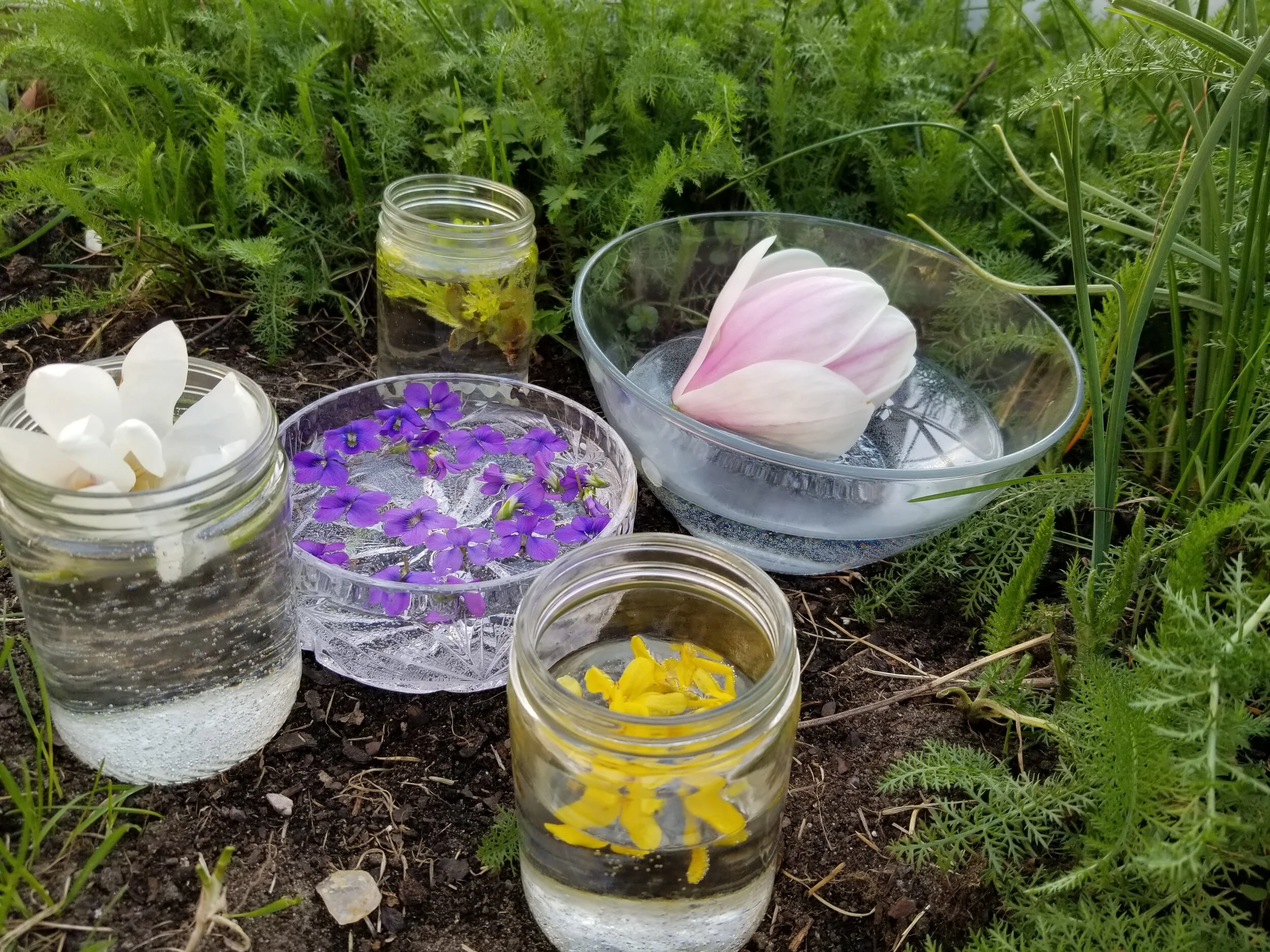 Spring Collection *Choose any 5