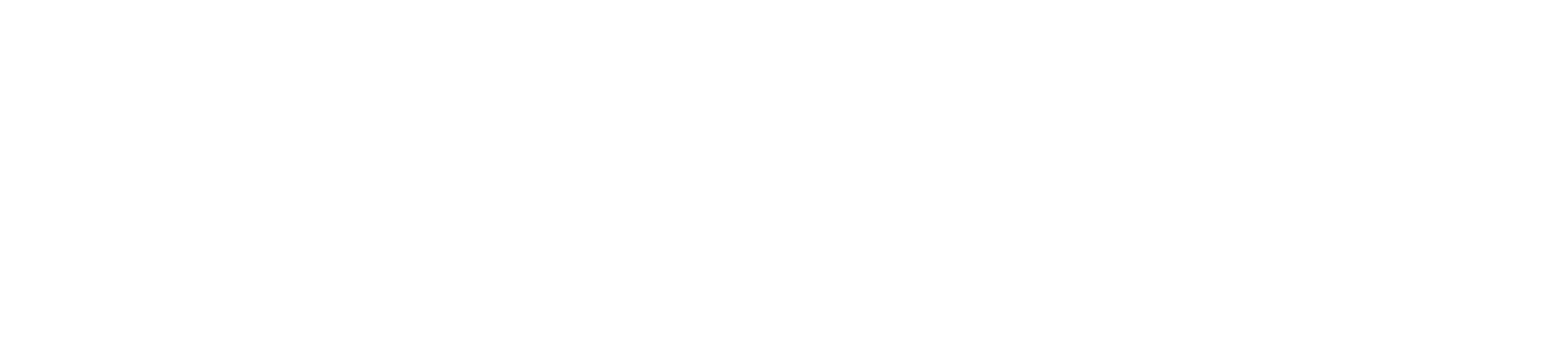 opengov white.png