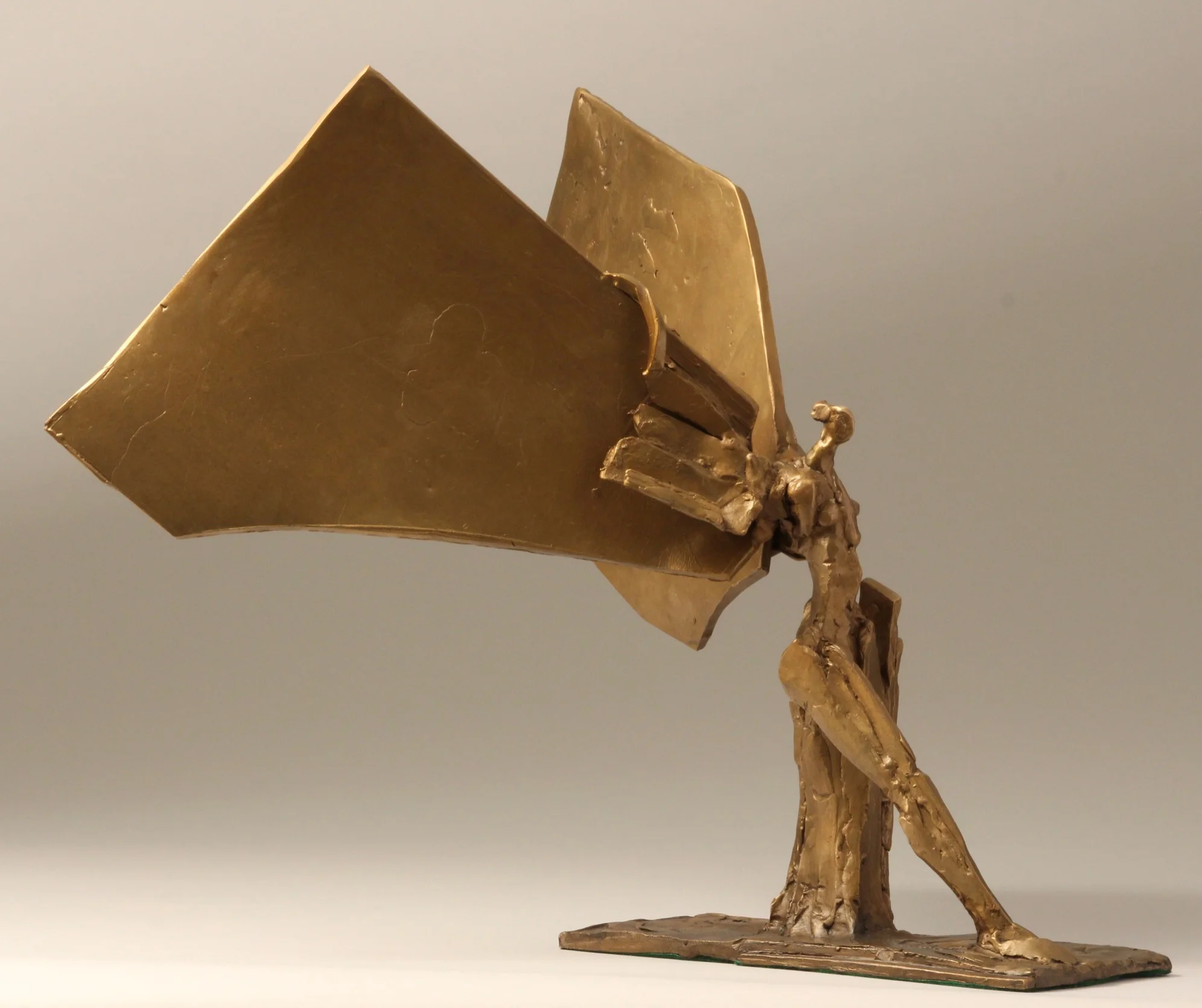 Open Wings 01 (right view)