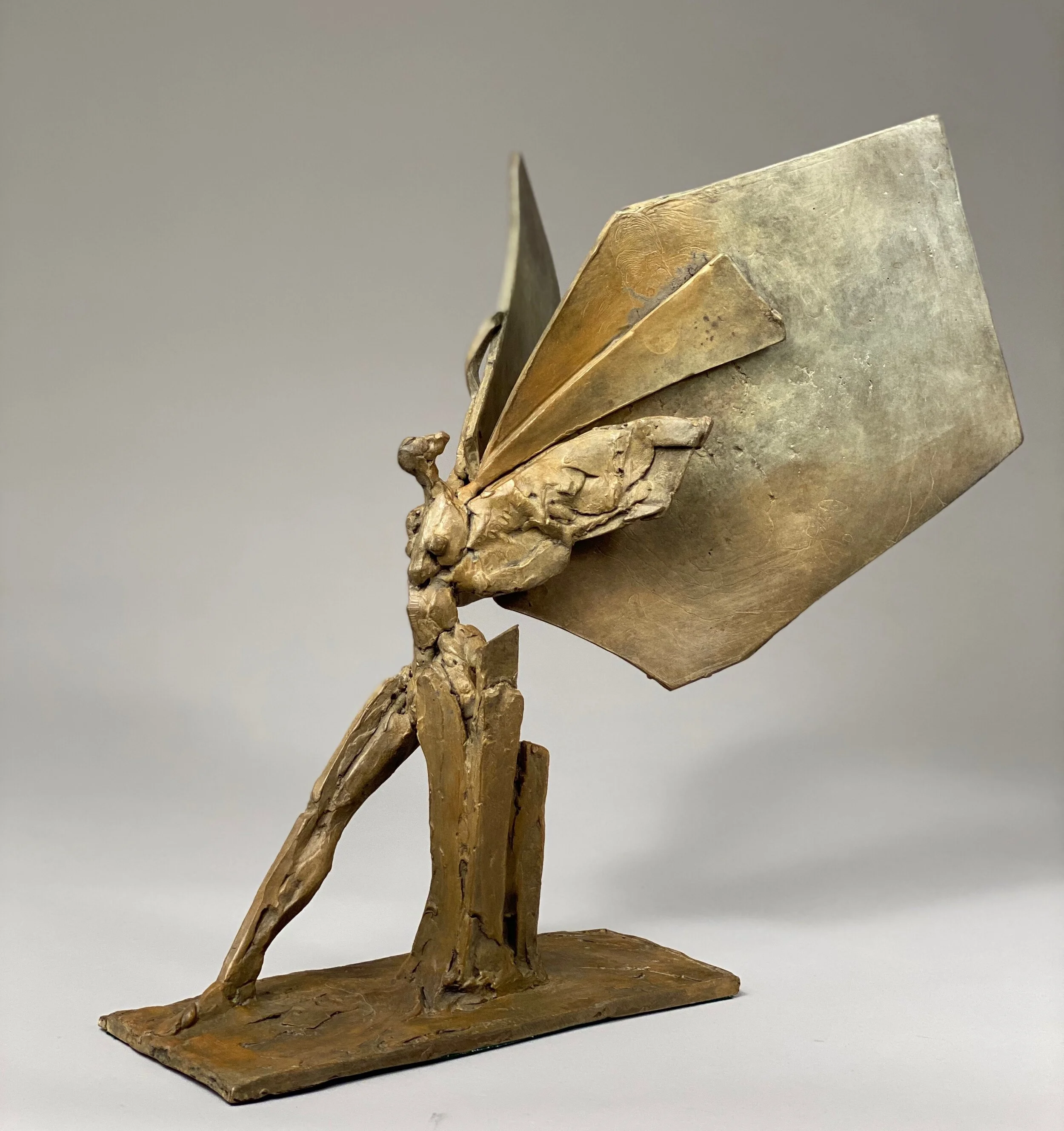 Warm Brown Gold Wing (right side)