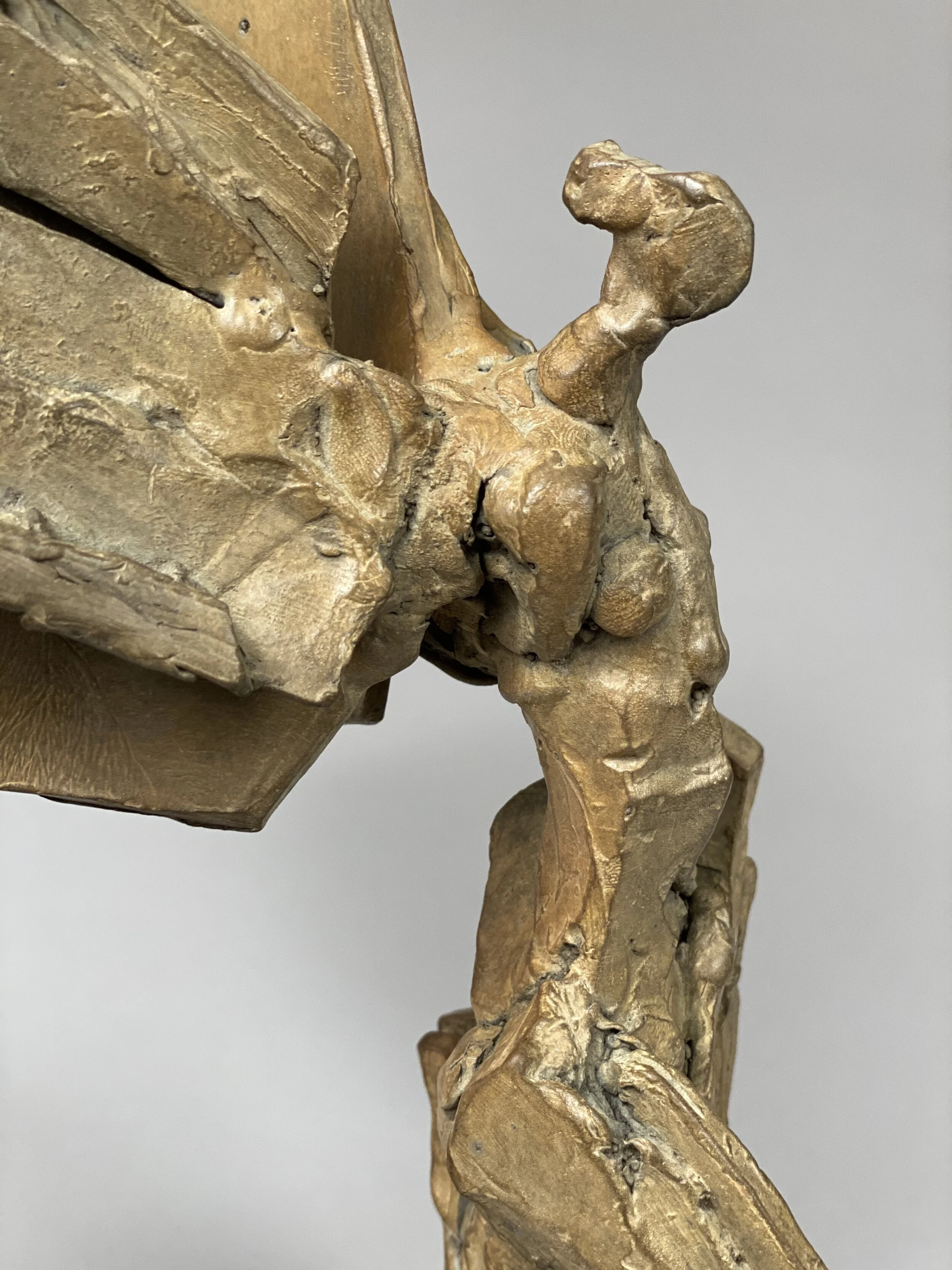 Warm Brown Gold Wing (left-detail)