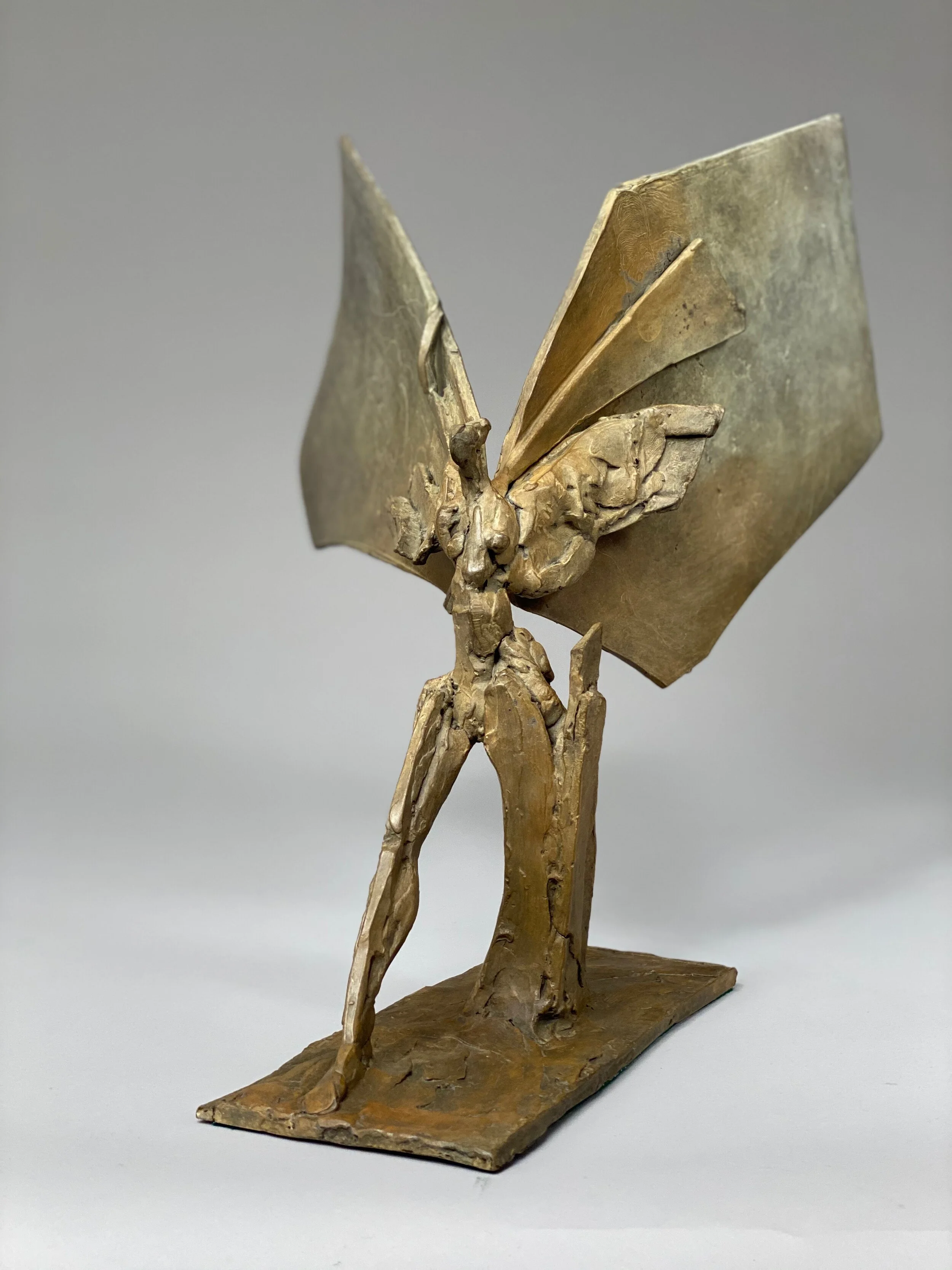 Warm Brown Gold Wing