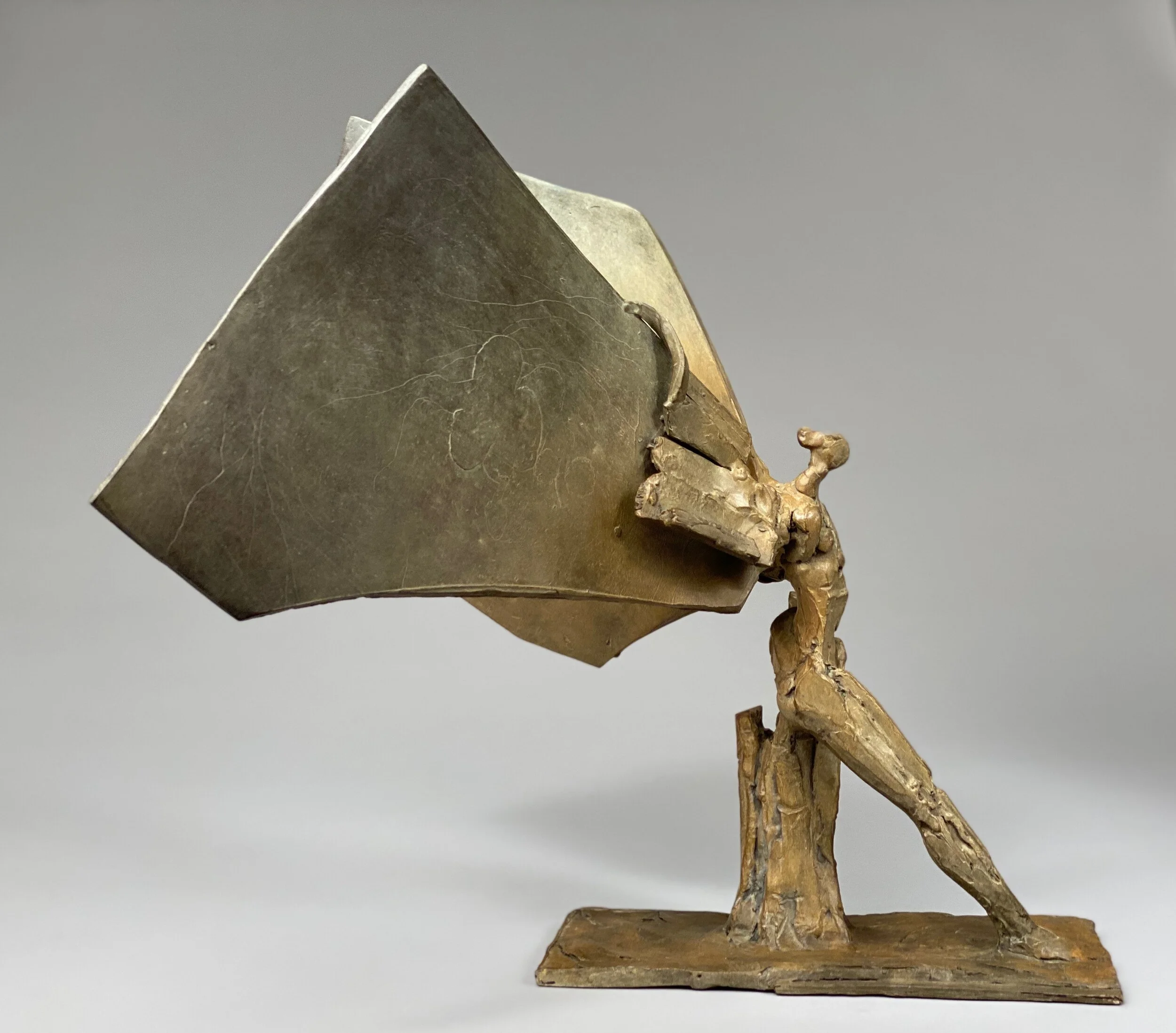 Warm Brown Gold Wing (left side)