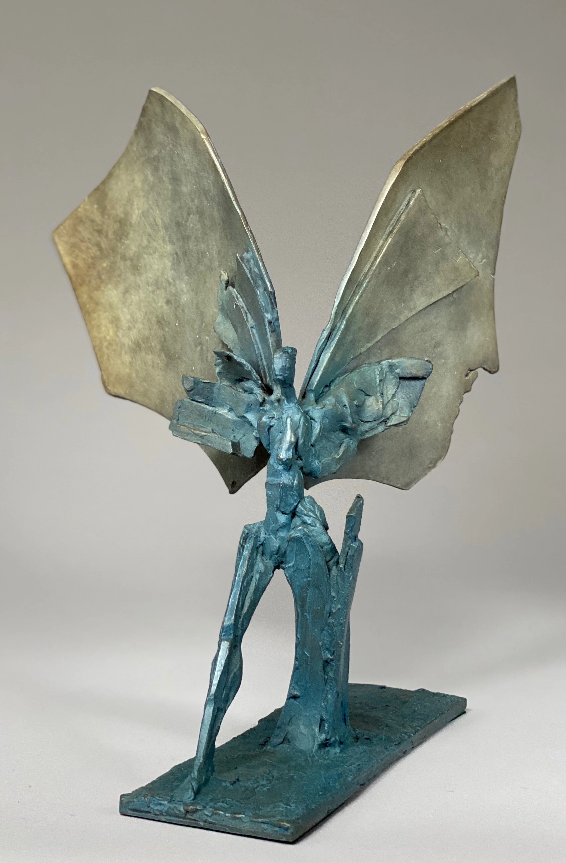 Large Grey Blue Wing 