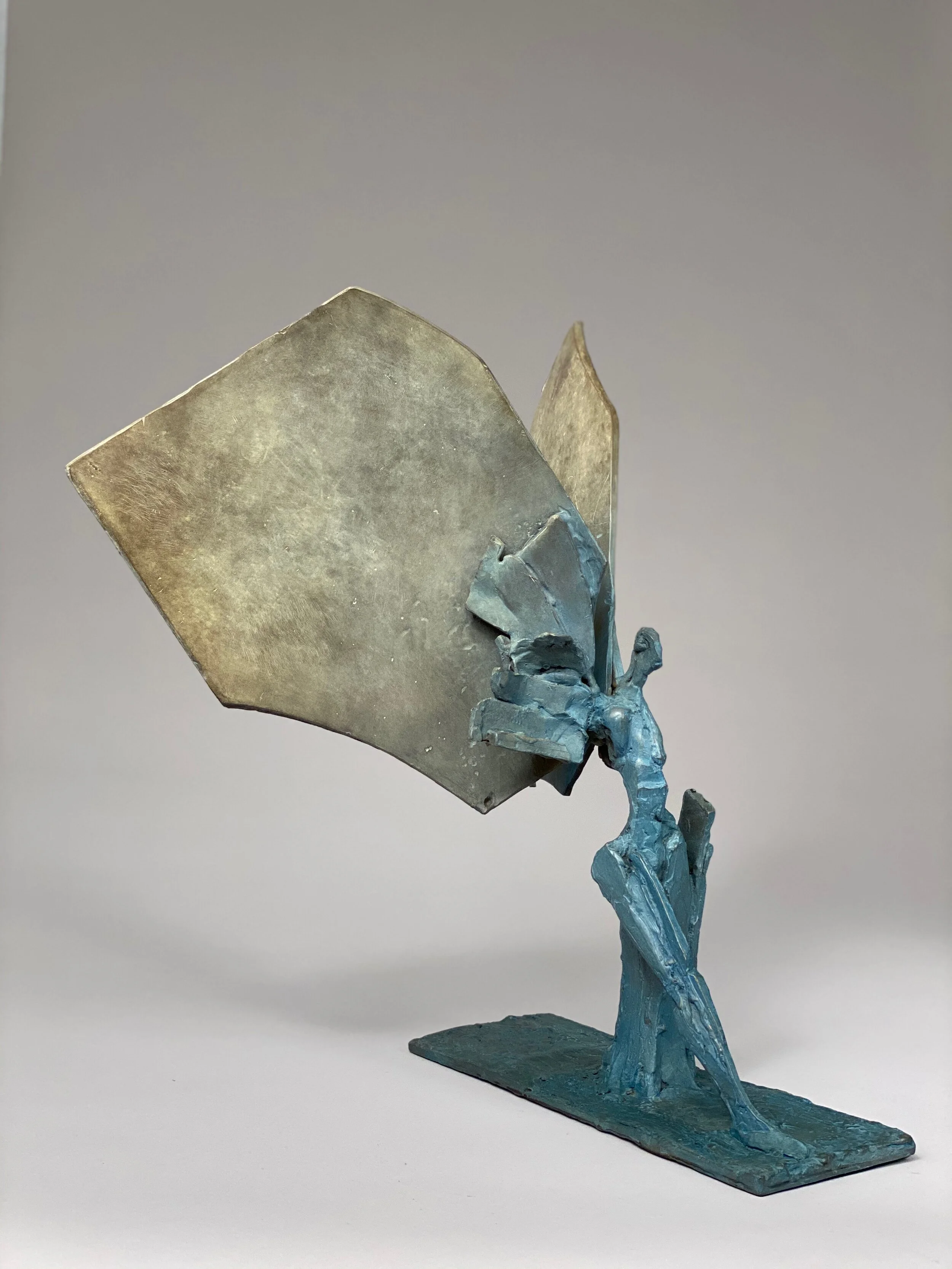 Large Grey Blue Wing  (left)