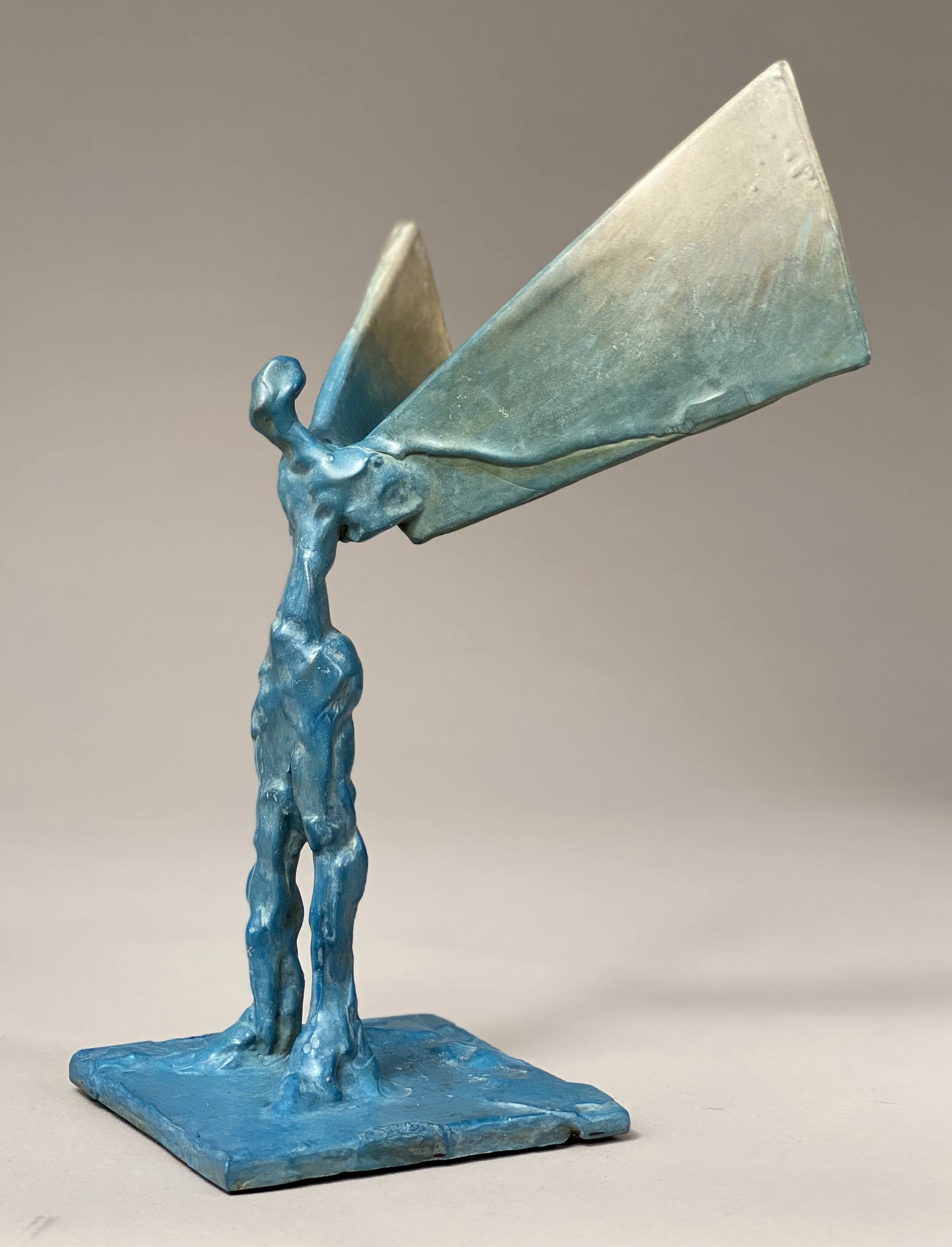 Small Blue White Wing (right side)