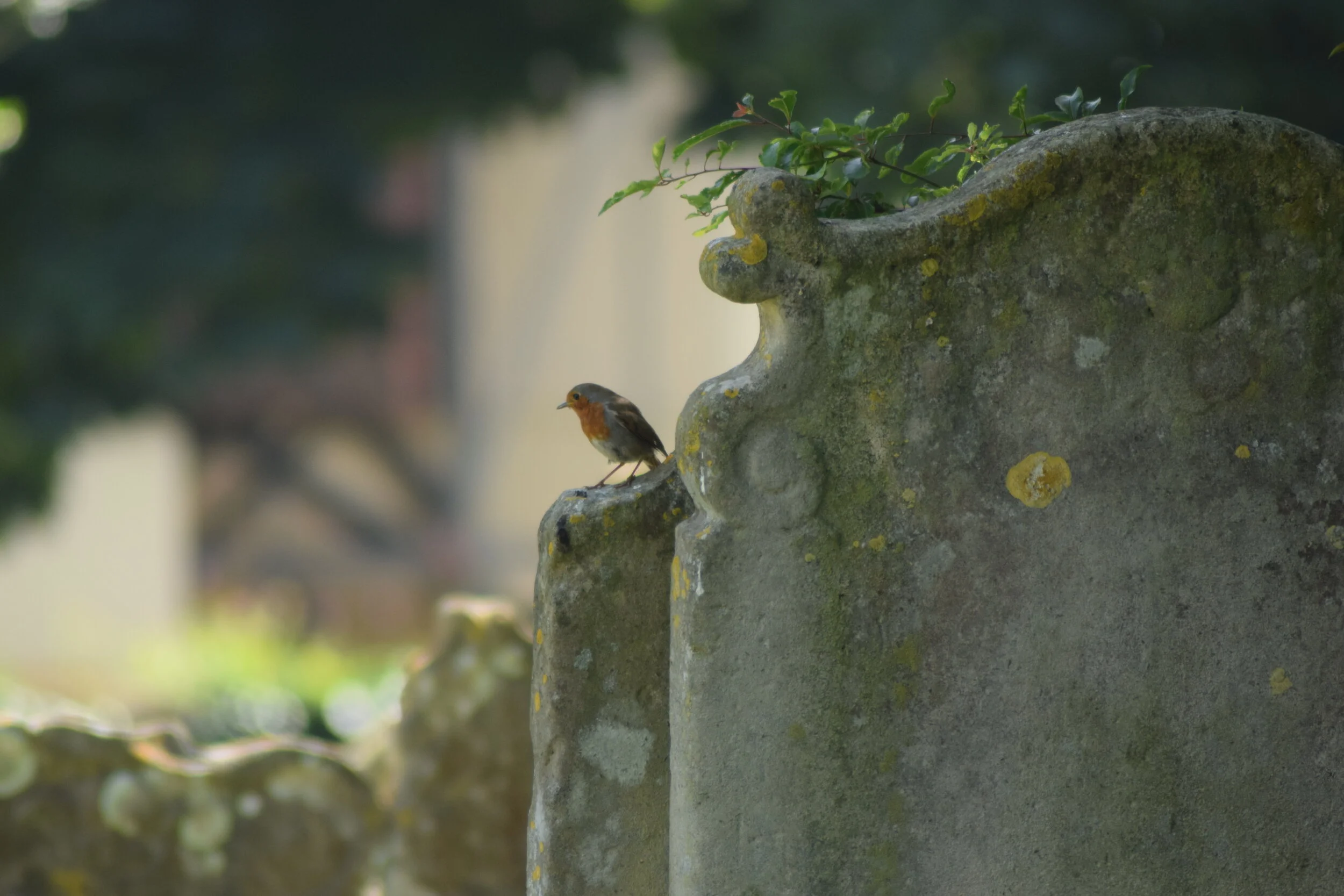 The Visible Thoughts Advent Calendar, Day 1