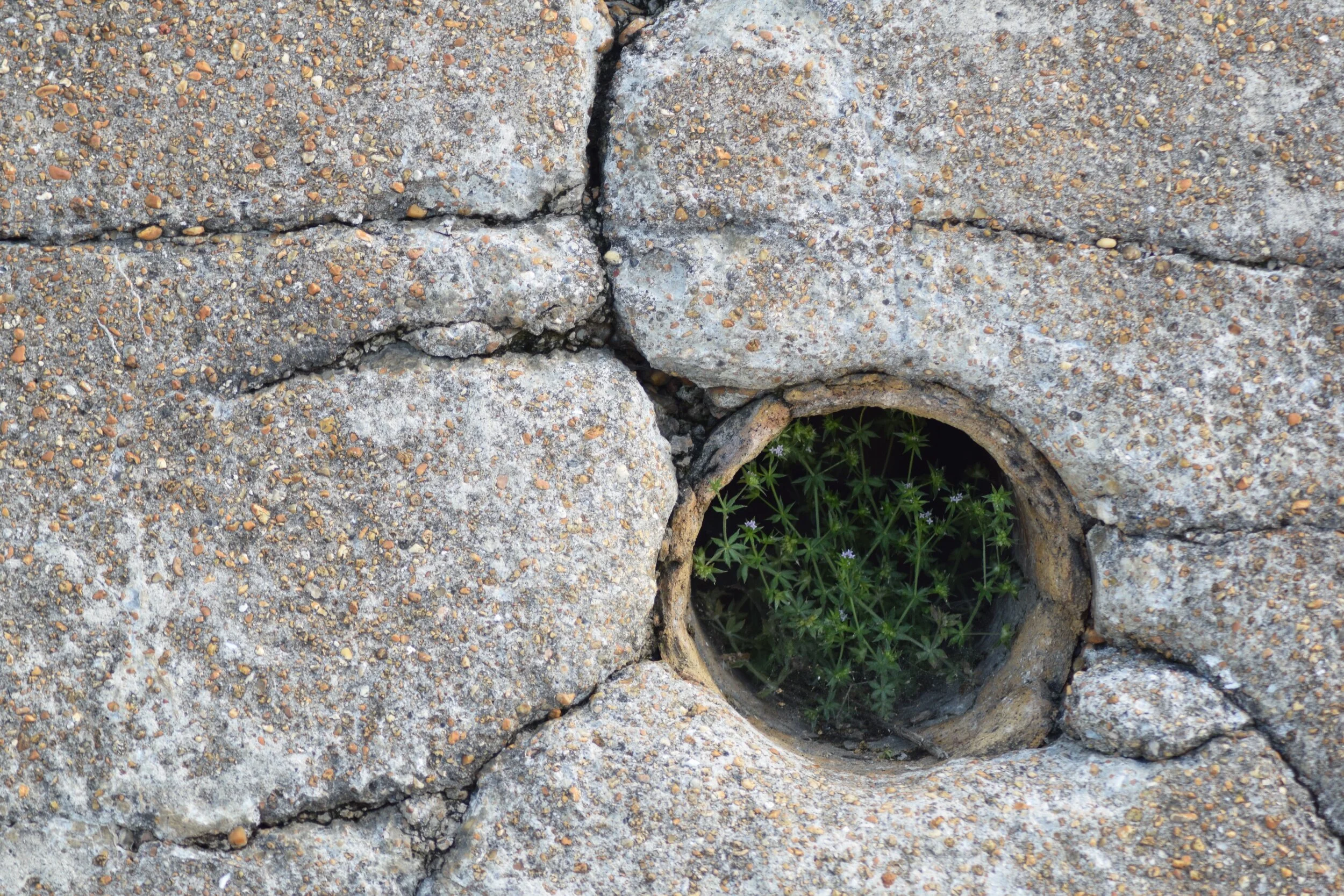 The Visible Thoughts Advent Calendar, Day 5