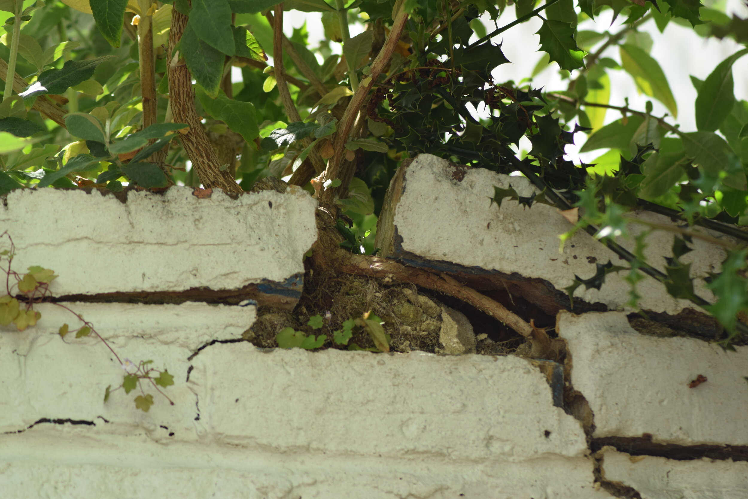 A Misremembered Truth