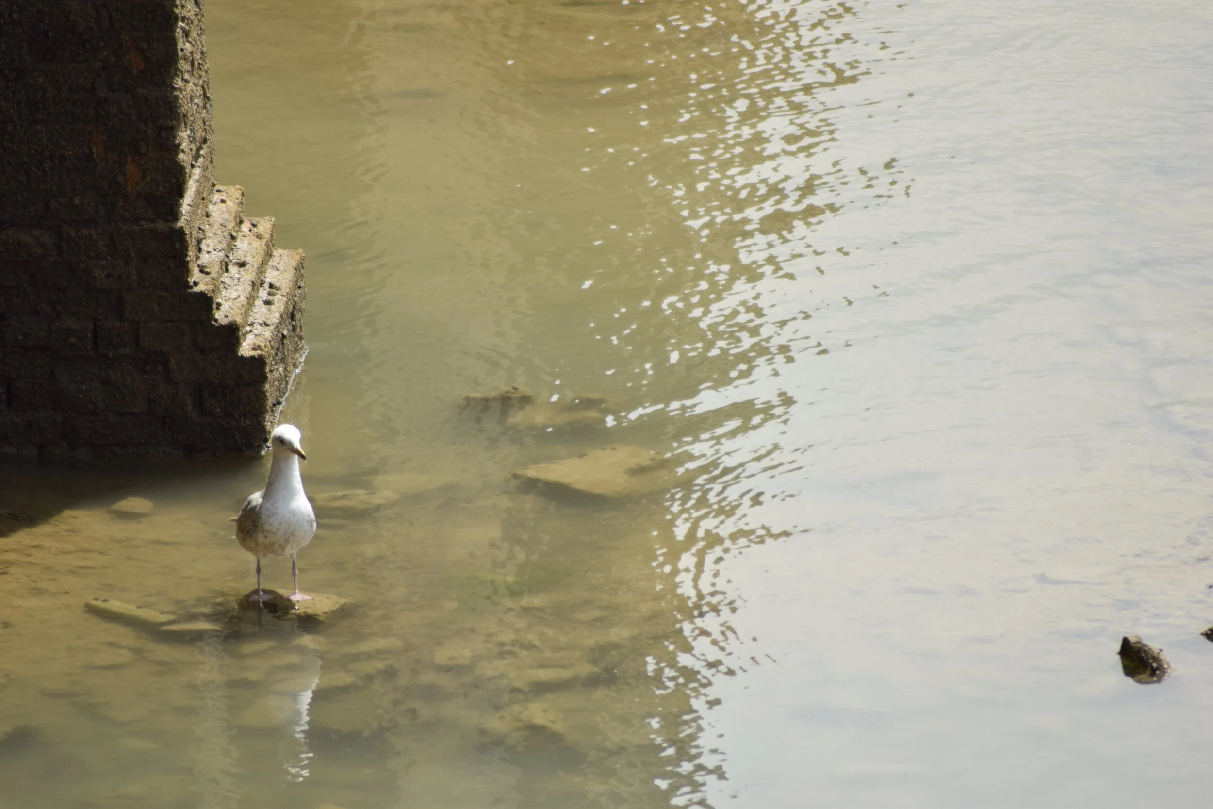 Meet Me At The Equator