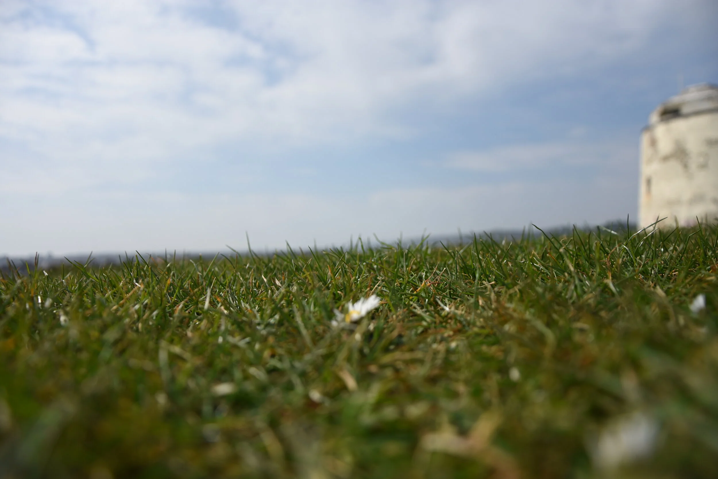 In Dark Times The Hope Shines