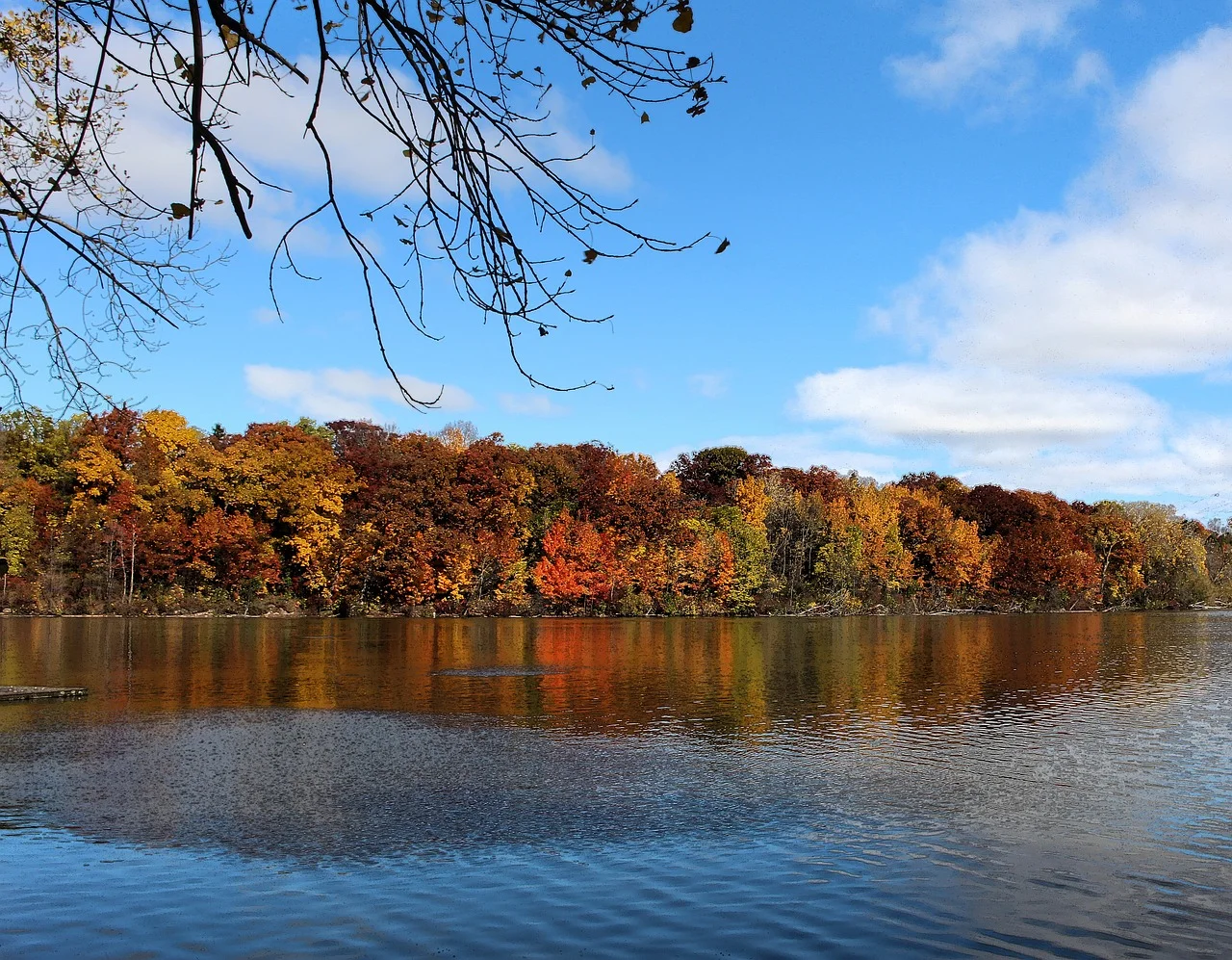 fox-river-919087_1280.jpg