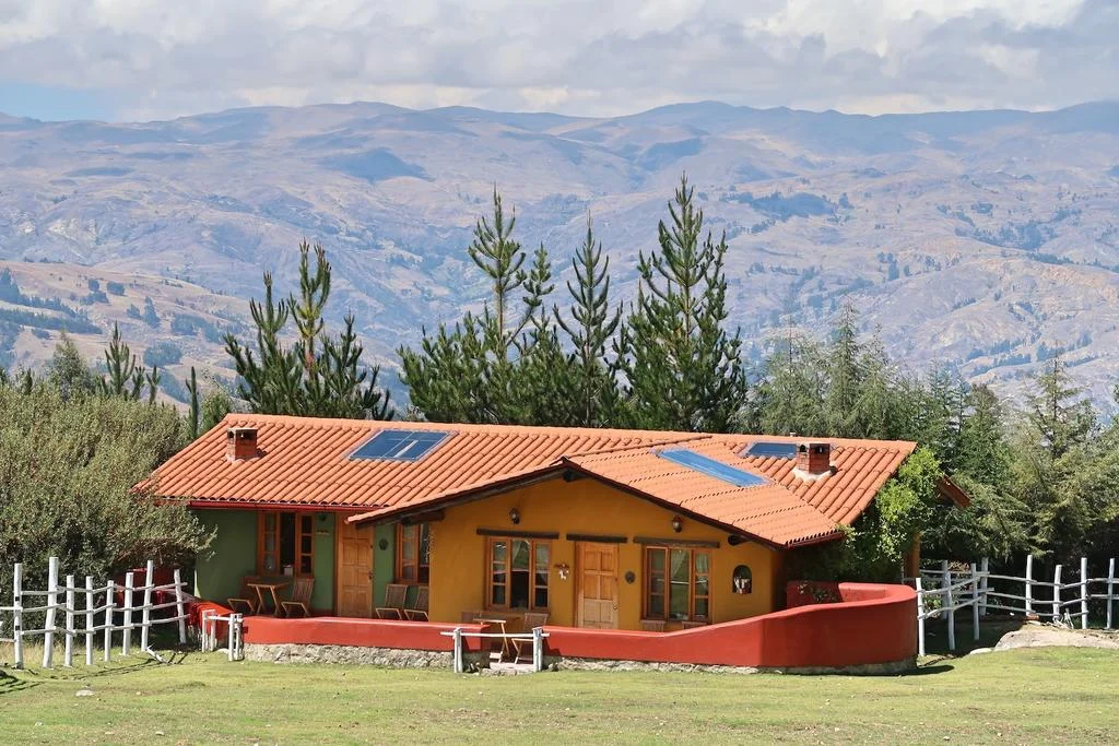 121779613.jpg