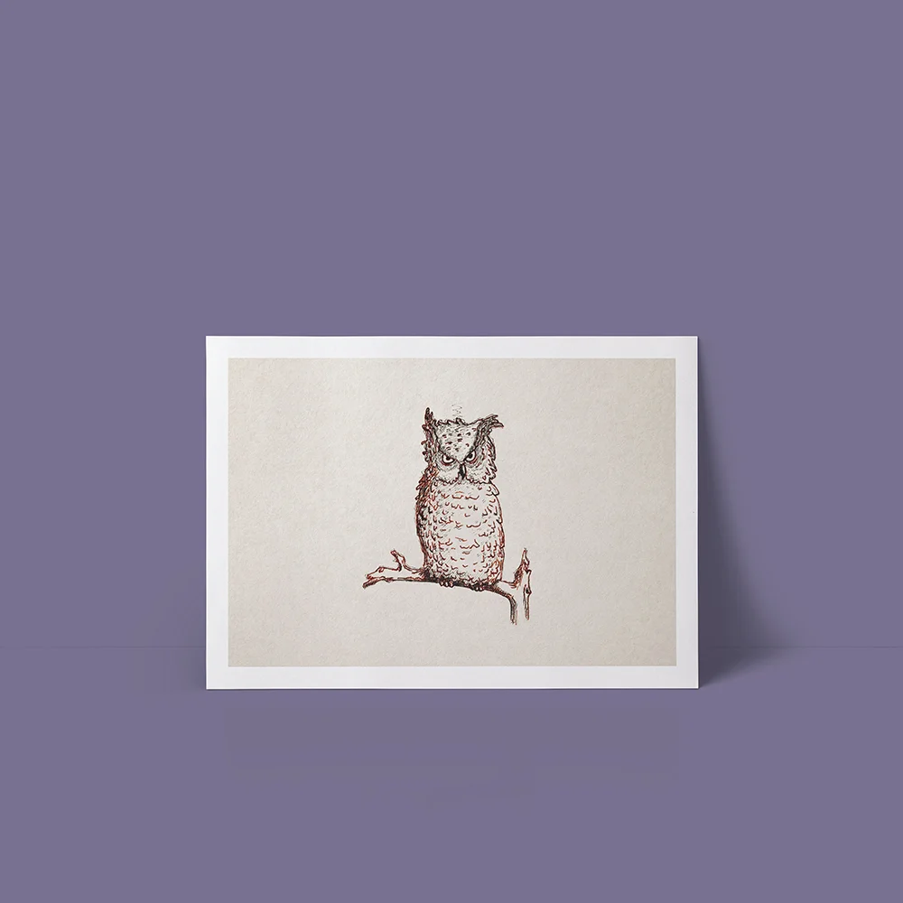owl_framed.jpg