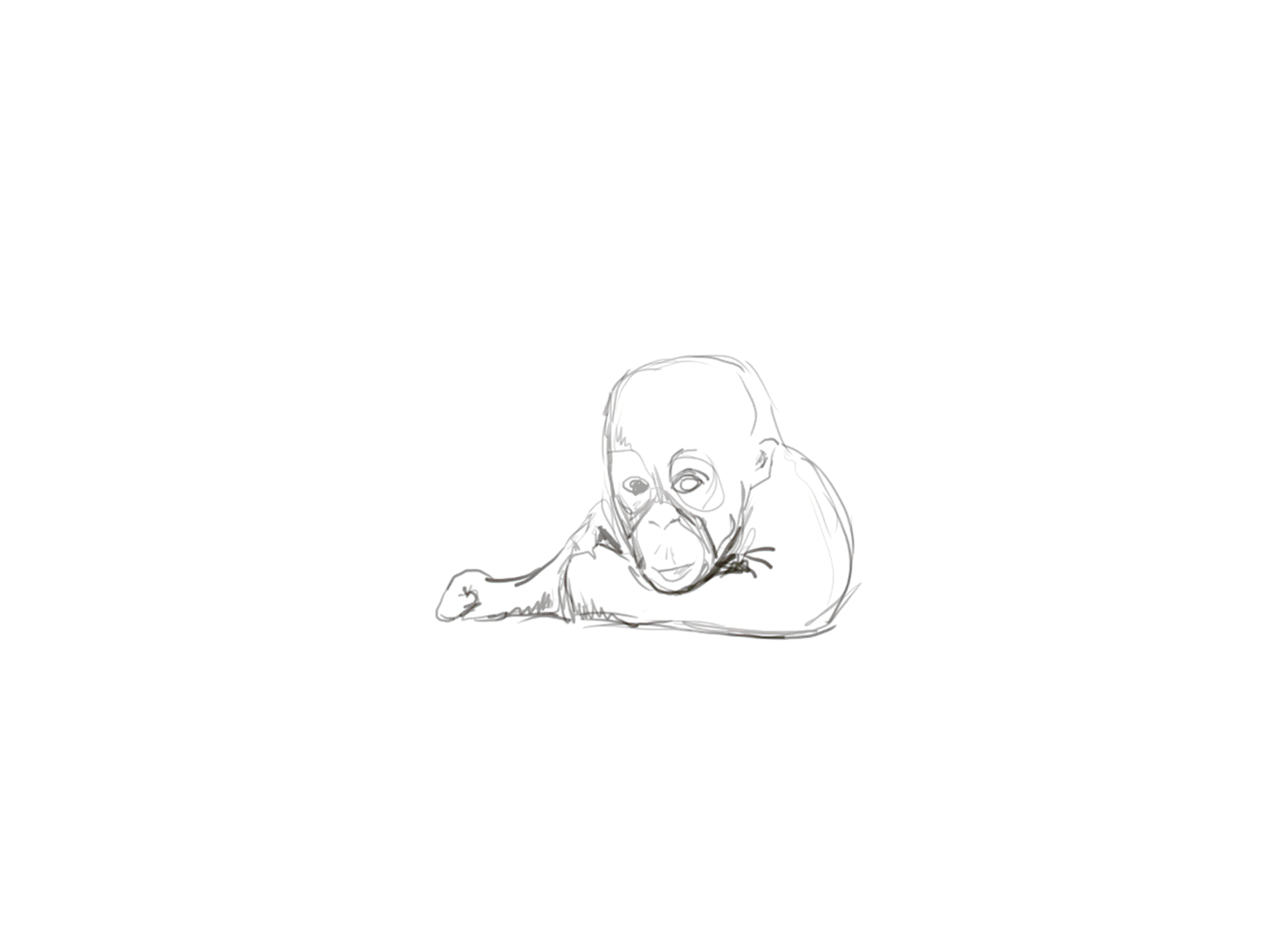 baby-orangutan-painting-sequence.gif